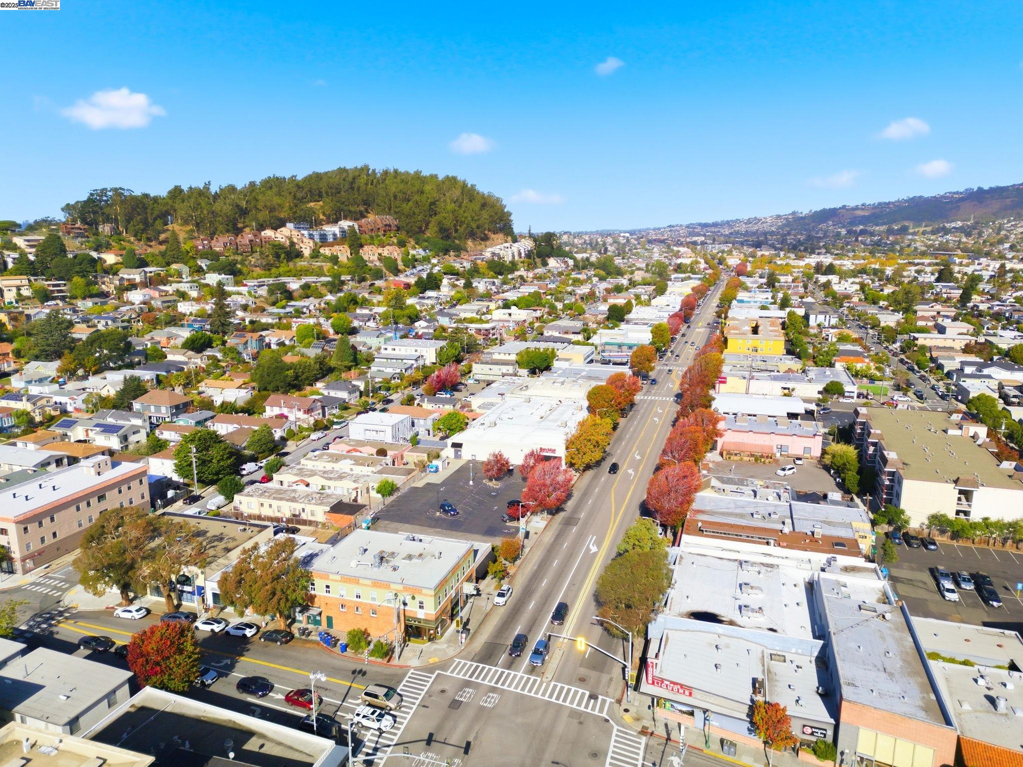 Detail Gallery Image 11 of 14 For 930 Kains Ave, Albany,  CA 94706 - – Beds | – Baths