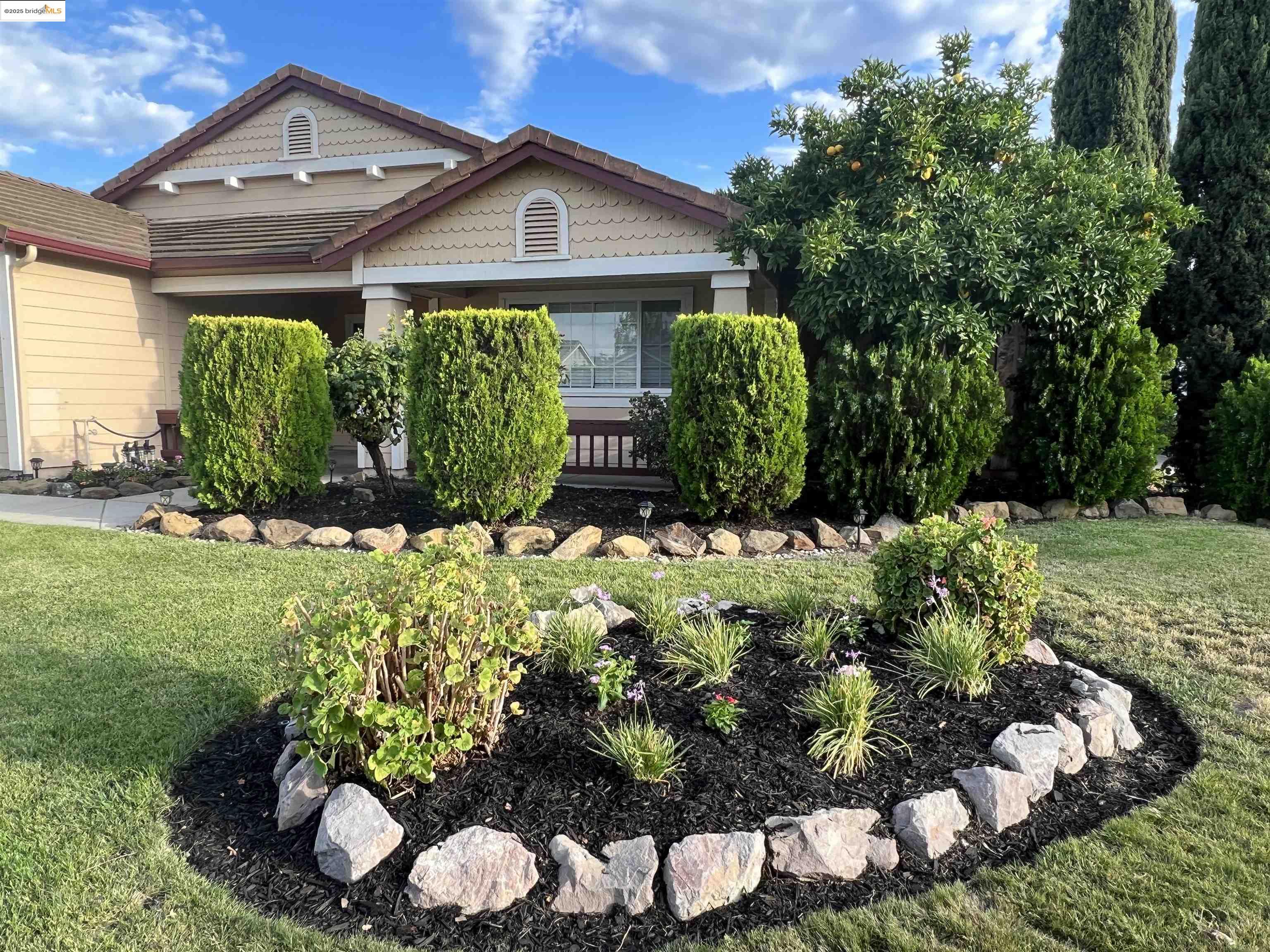 Front Image Thumbnail for EB41116676