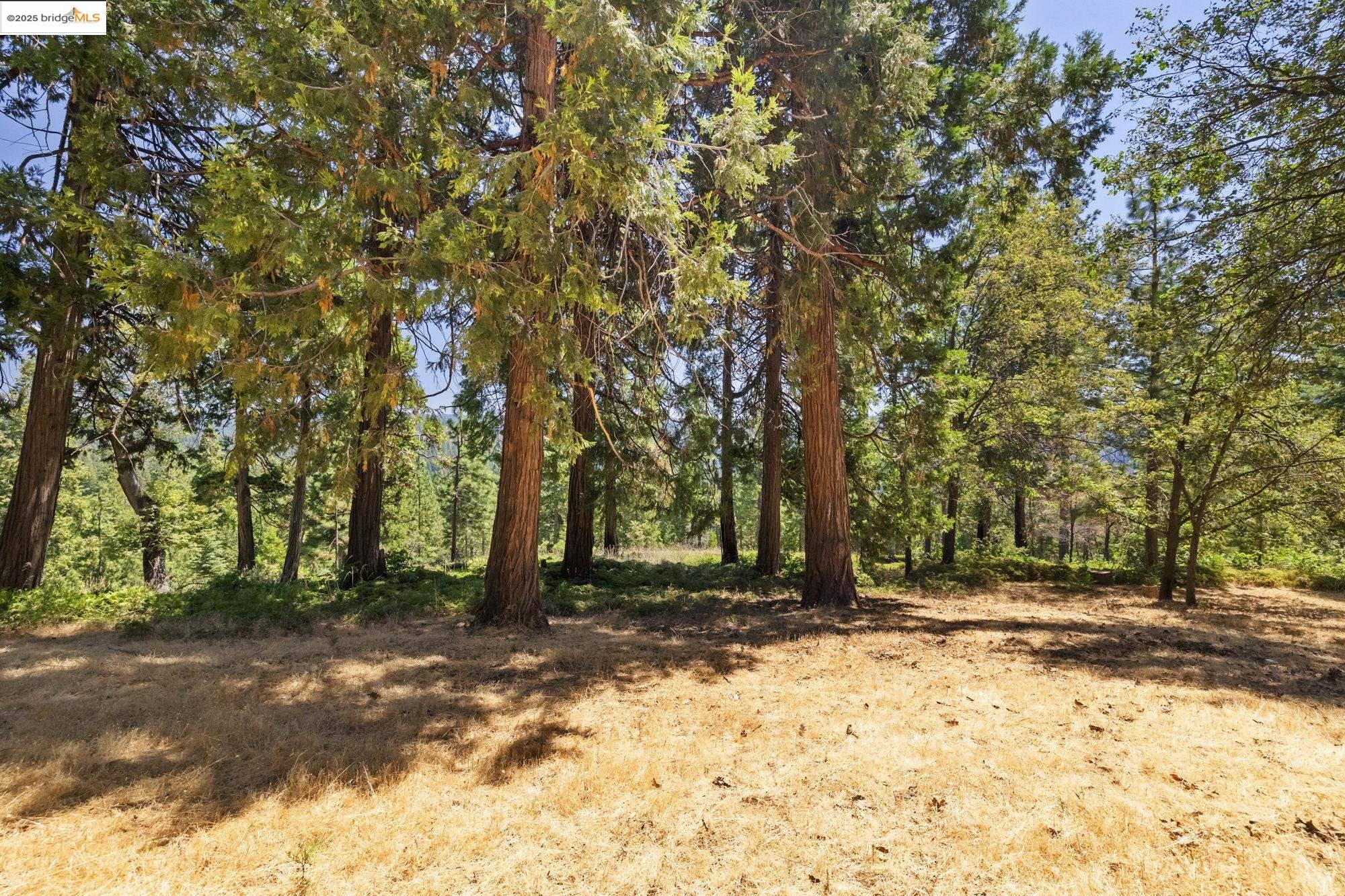 Detail Gallery Image 44 of 44 For 24725 Prospector Dr, Mi Wuk Village,  CA 95346 - 4 Beds | 3 Baths