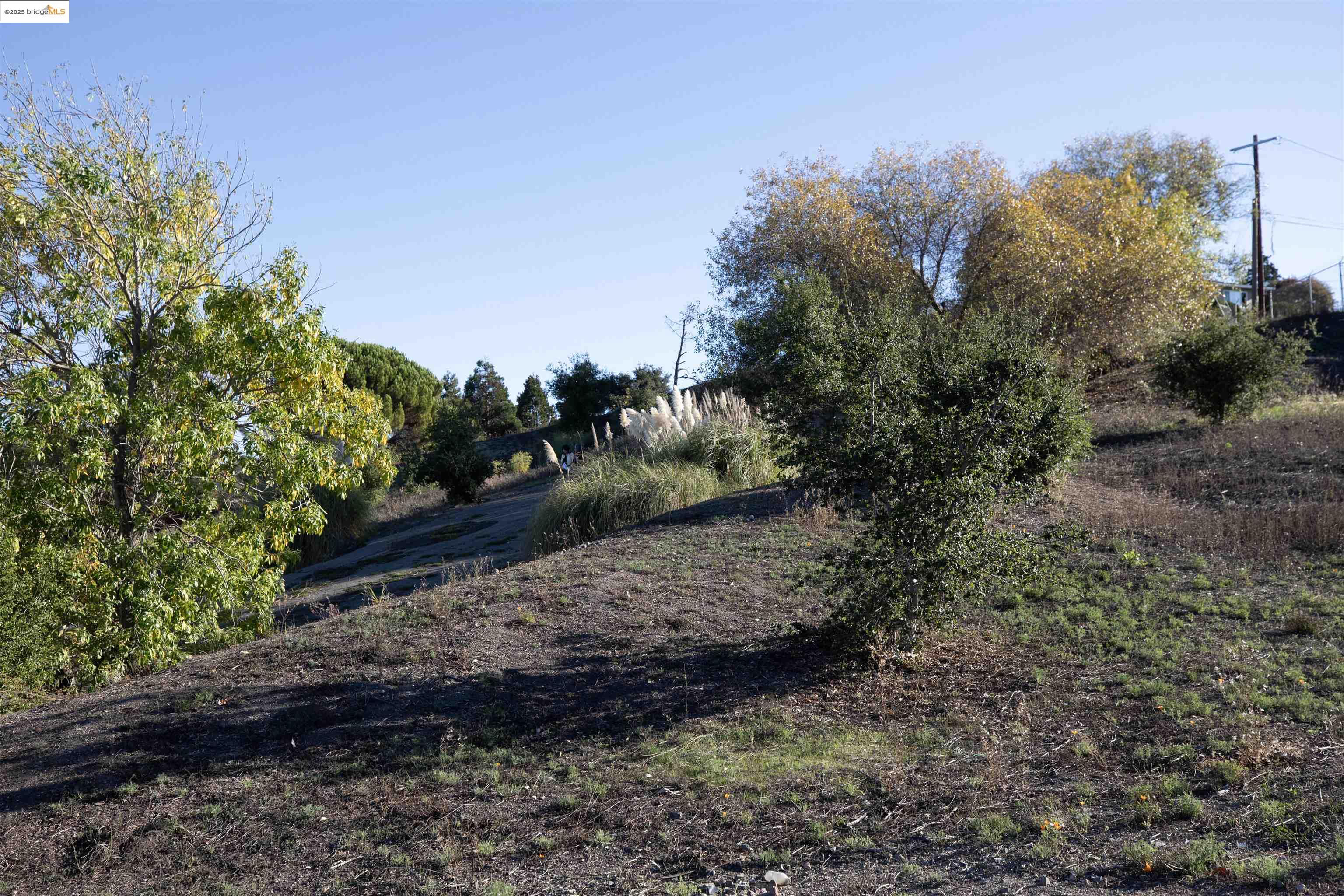 Detail Gallery Image 2 of 14 For San Pablo Ave, San Pablo,  CA 94806 - – Beds | – Baths