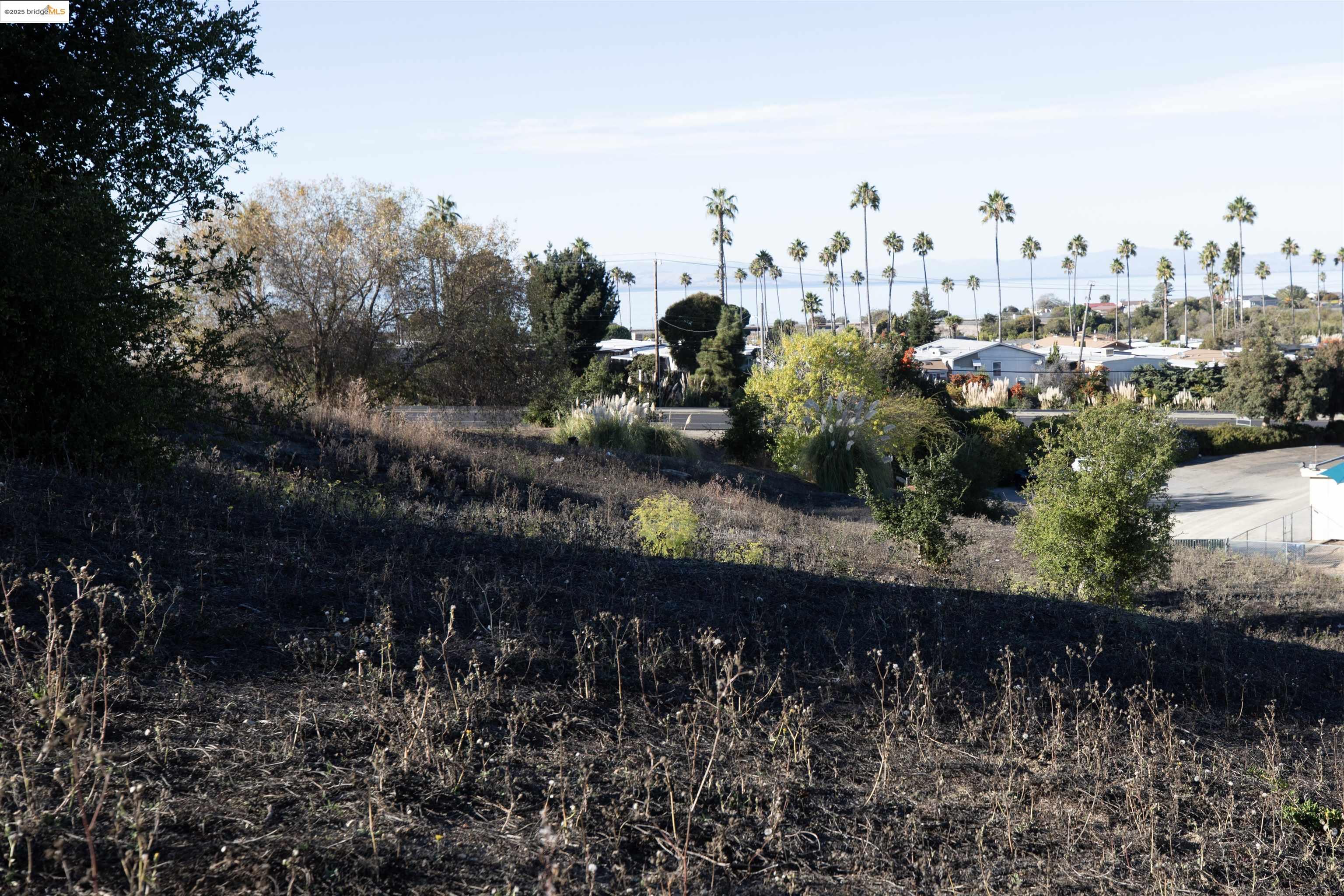 Detail Gallery Image 4 of 14 For San Pablo Ave, San Pablo,  CA 94806 - – Beds | – Baths