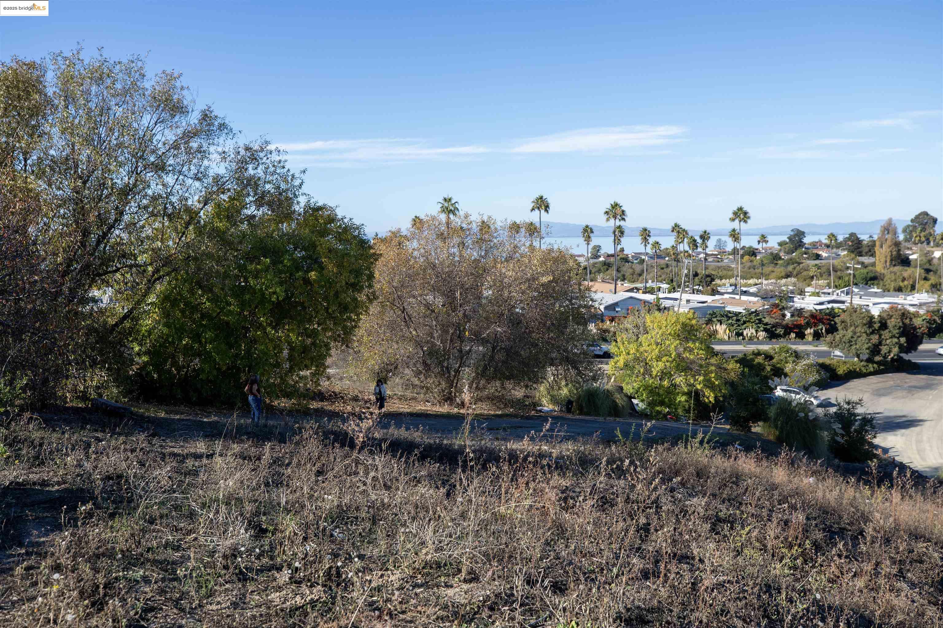 Detail Gallery Image 5 of 14 For San Pablo Ave, San Pablo,  CA 94806 - – Beds | – Baths