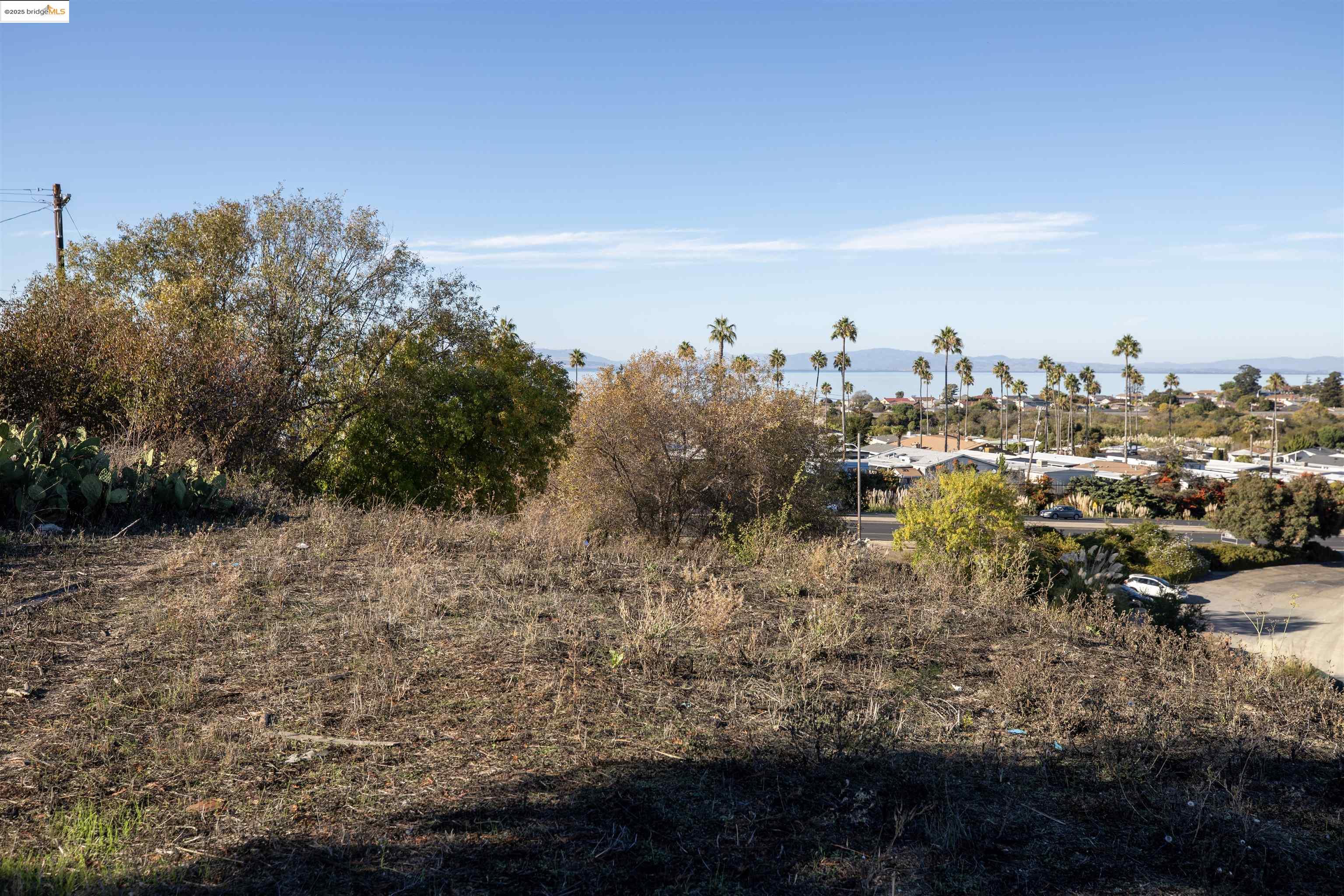 Detail Gallery Image 7 of 14 For San Pablo Ave, San Pablo,  CA 94806 - – Beds | – Baths