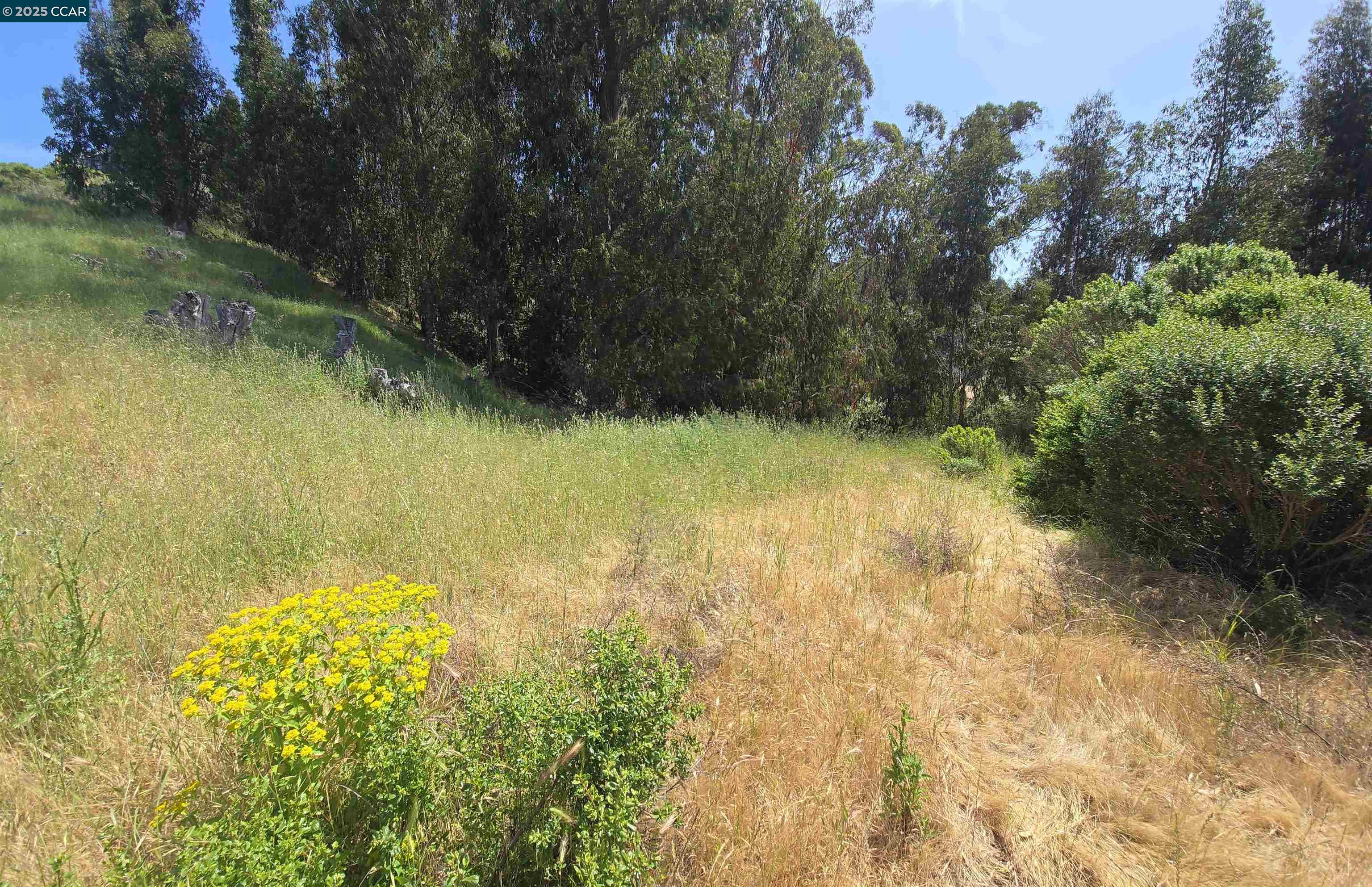 Detail Gallery Image 11 of 16 For 6595 Thorndale Dr, Oakland,  CA 94611 - – Beds | – Baths