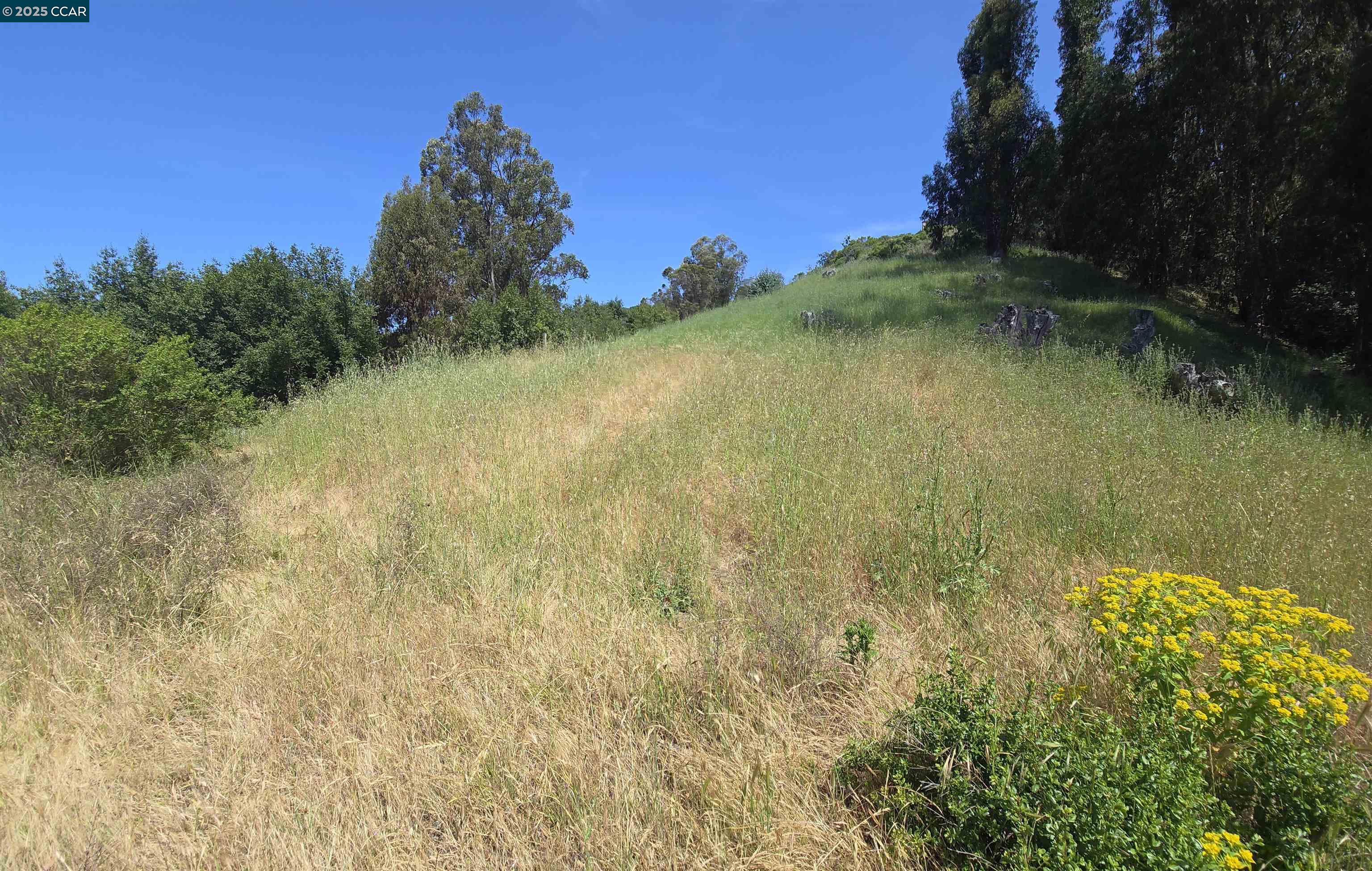 Detail Gallery Image 12 of 16 For 6595 Thorndale Dr, Oakland,  CA 94611 - – Beds | – Baths