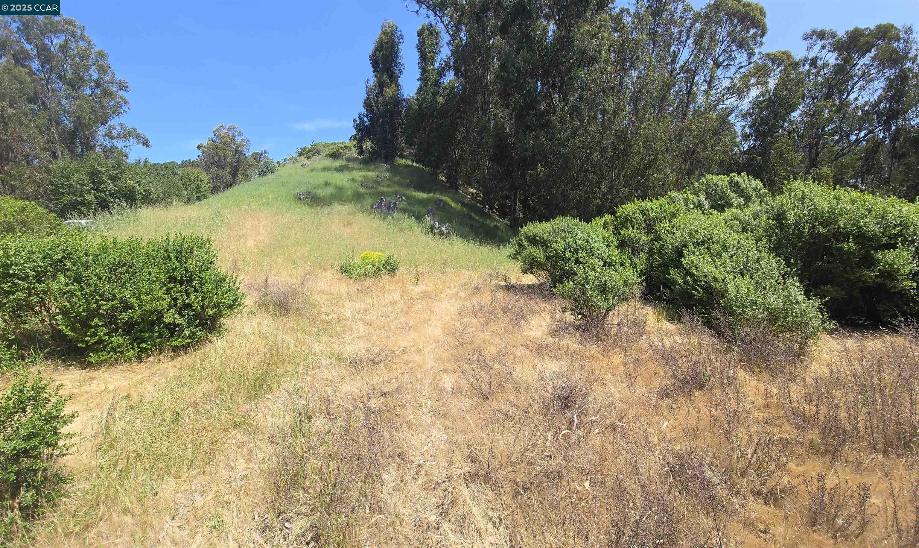 Detail Gallery Image 14 of 16 For 6595 Thorndale Dr, Oakland,  CA 94611 - – Beds | – Baths