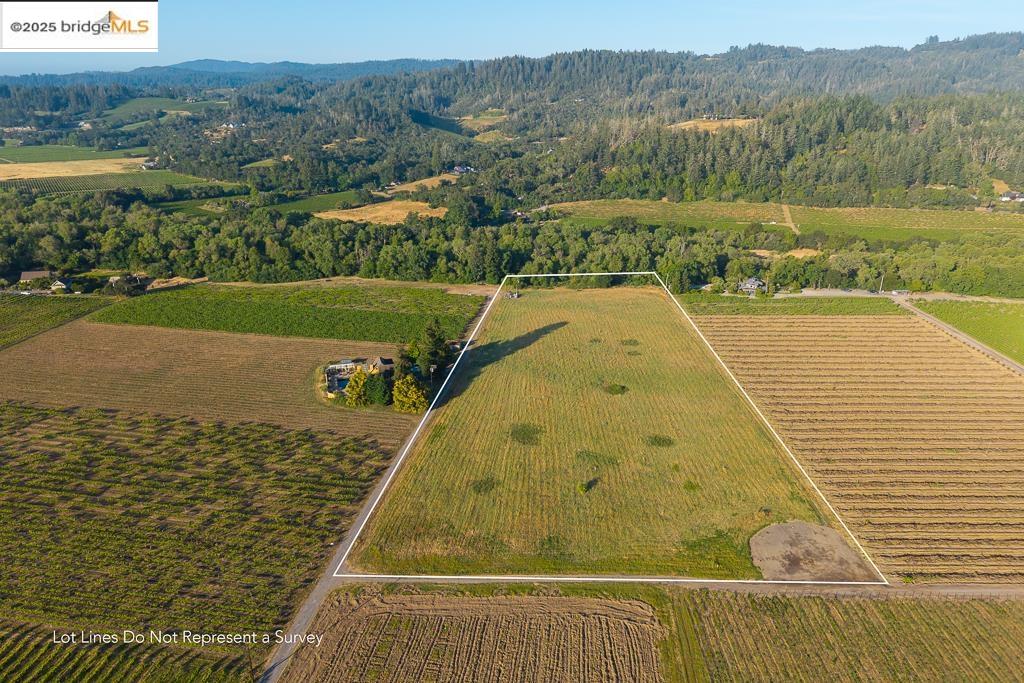 Detail Gallery Image 4 of 23 For 838 Dry Creek, Healdsburg,  CA 95448 - – Beds | – Baths