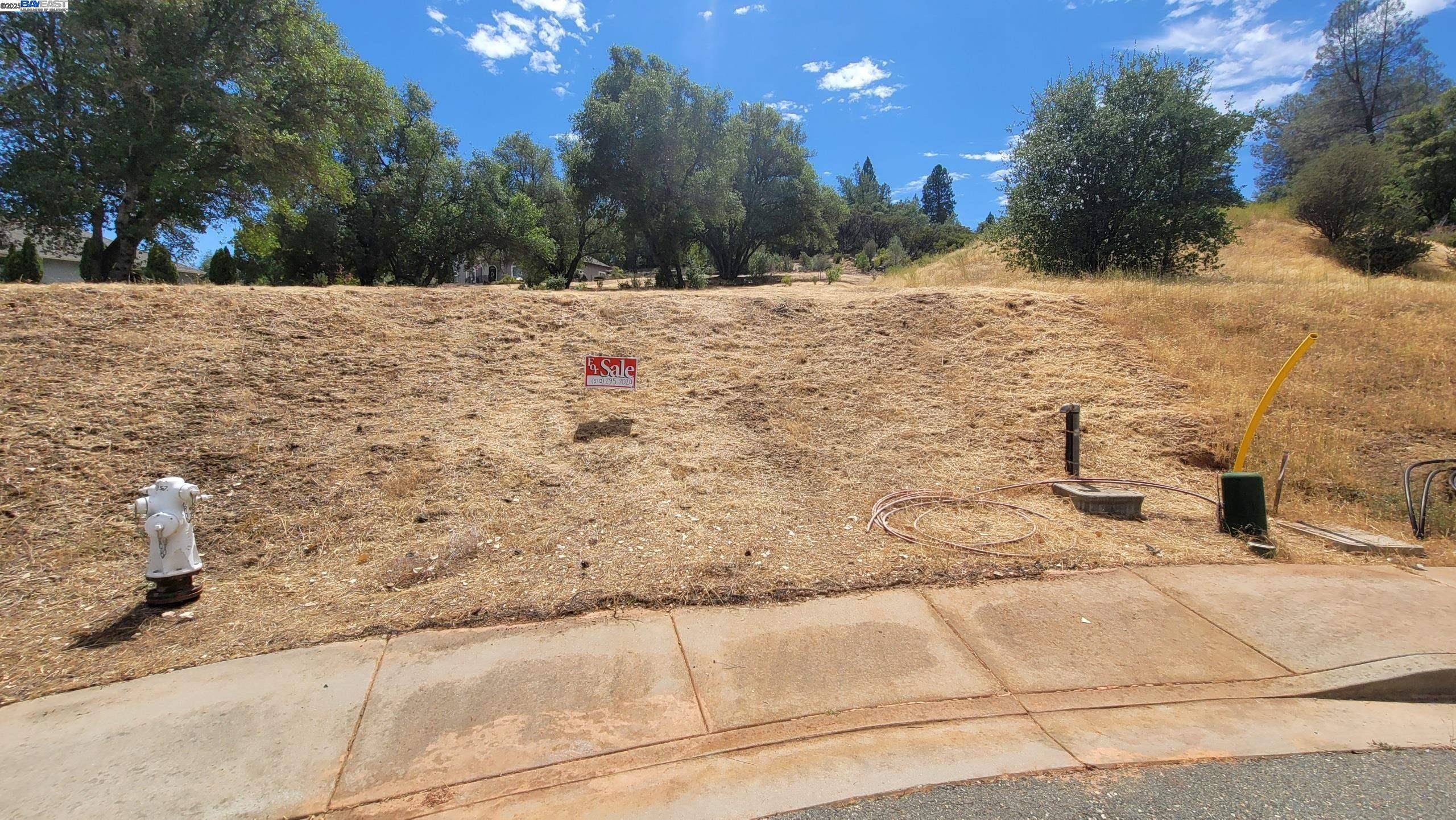 Detail Gallery Image 2 of 2 For 1571 Nevill Ct, Jackson,  CA 95642-2661 - – Beds | – Baths