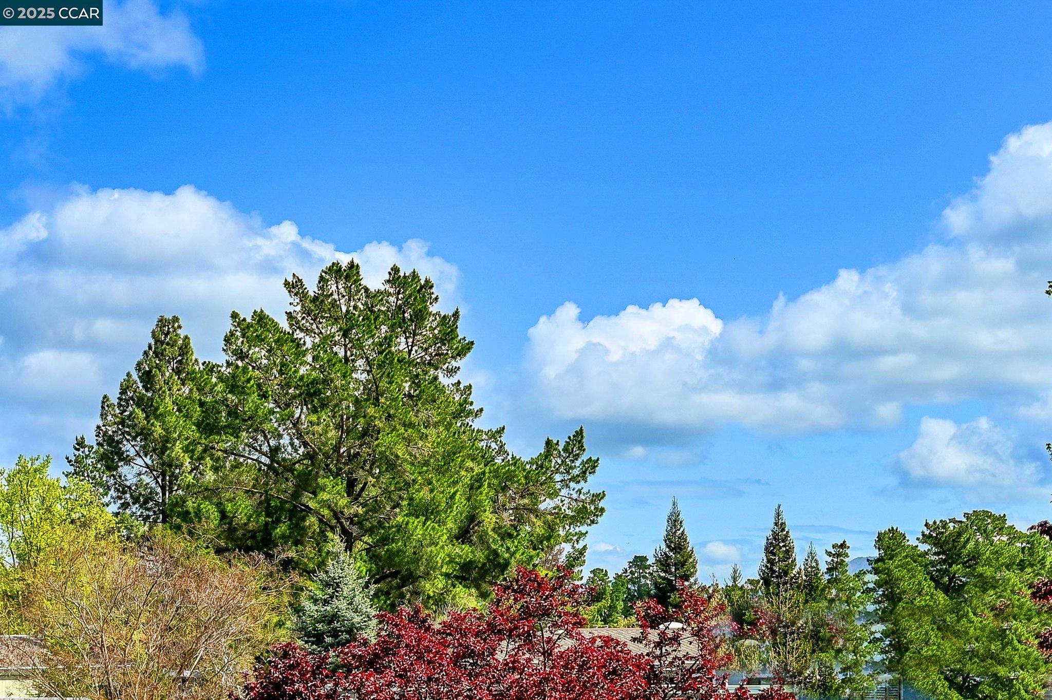 Photo #9: 41116782 Listing: Photo #9