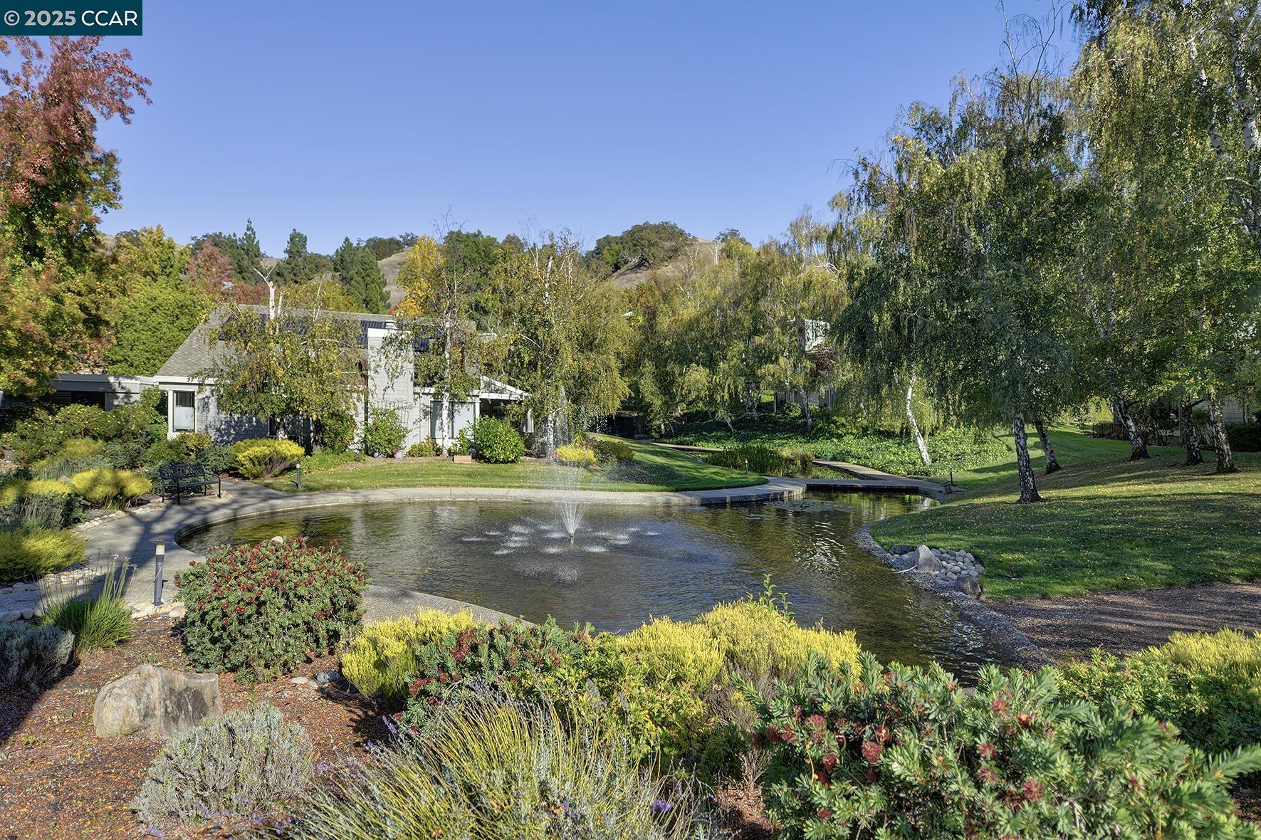 Photo #44: 41116869 Listing: Photo #44