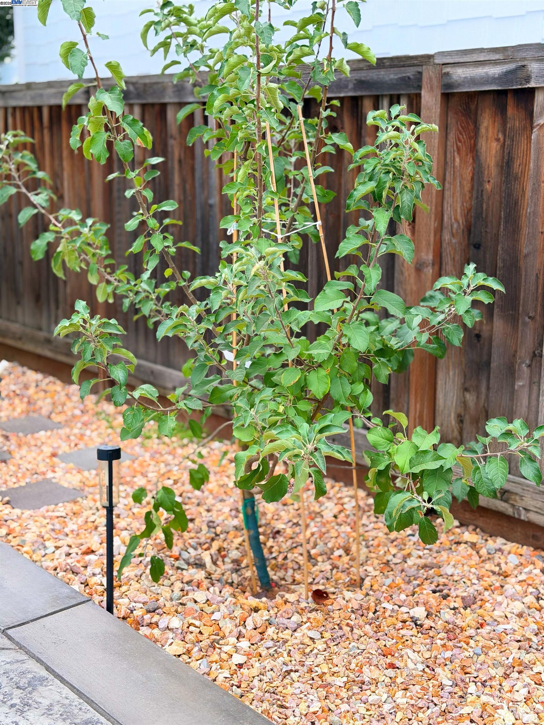 Detail Gallery Image 30 of 31 For 1611 Marina, Brentwood,  CA 94513 - 3 Beds | 2 Baths