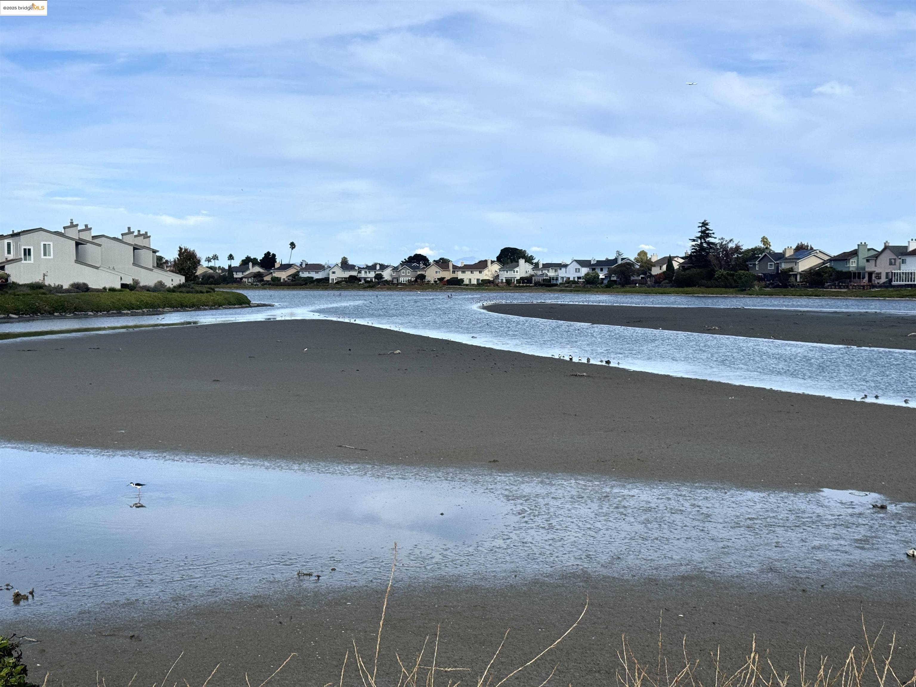 Detail Gallery Image 48 of 48 For 3365 Los Prados St, San Mateo,  CA 94403 - 2 Beds | 2 Baths