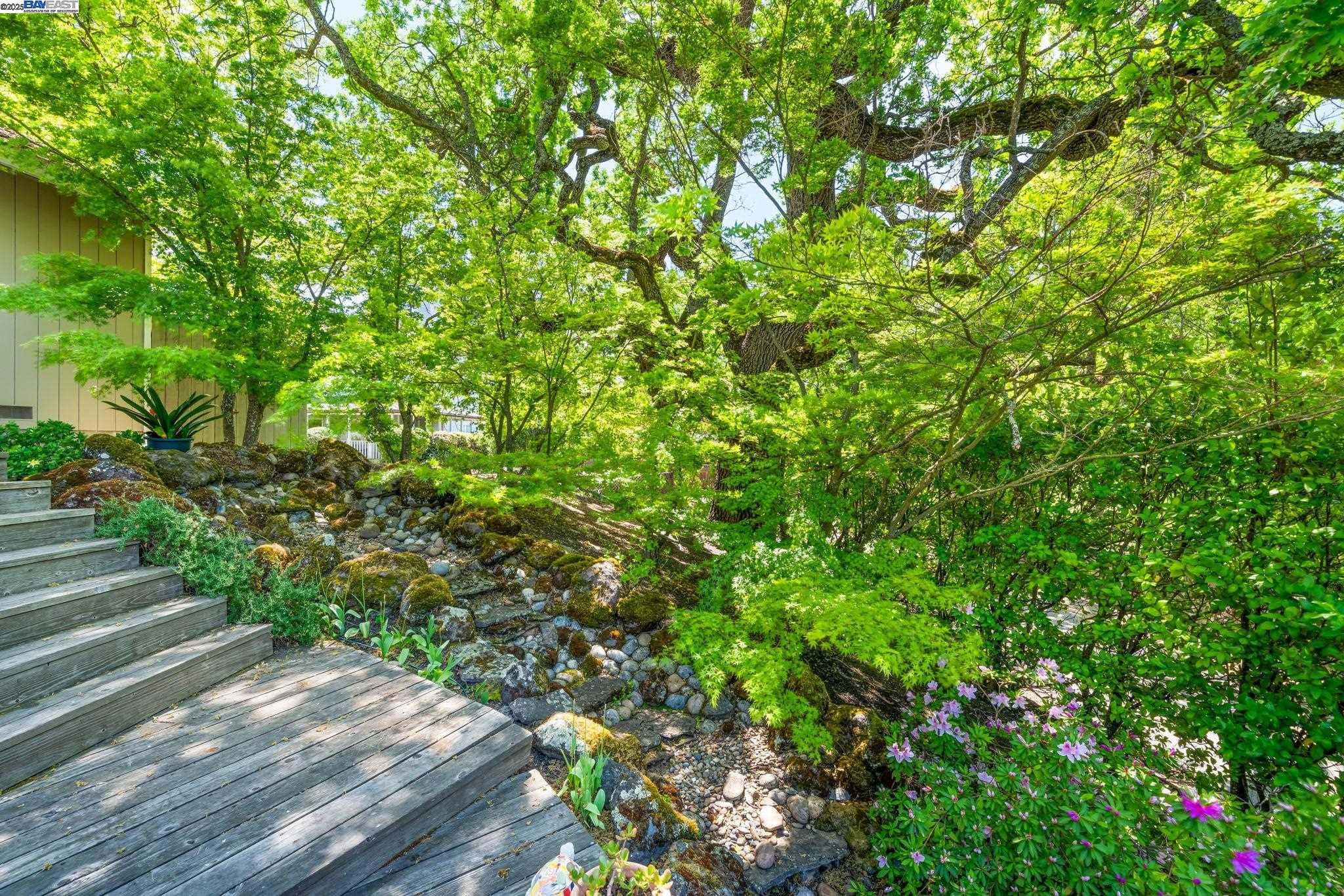 Detail Gallery Image 48 of 60 For 484 El Pintado Rd, Danville,  CA 94526 - 4 Beds | 2/1 Baths