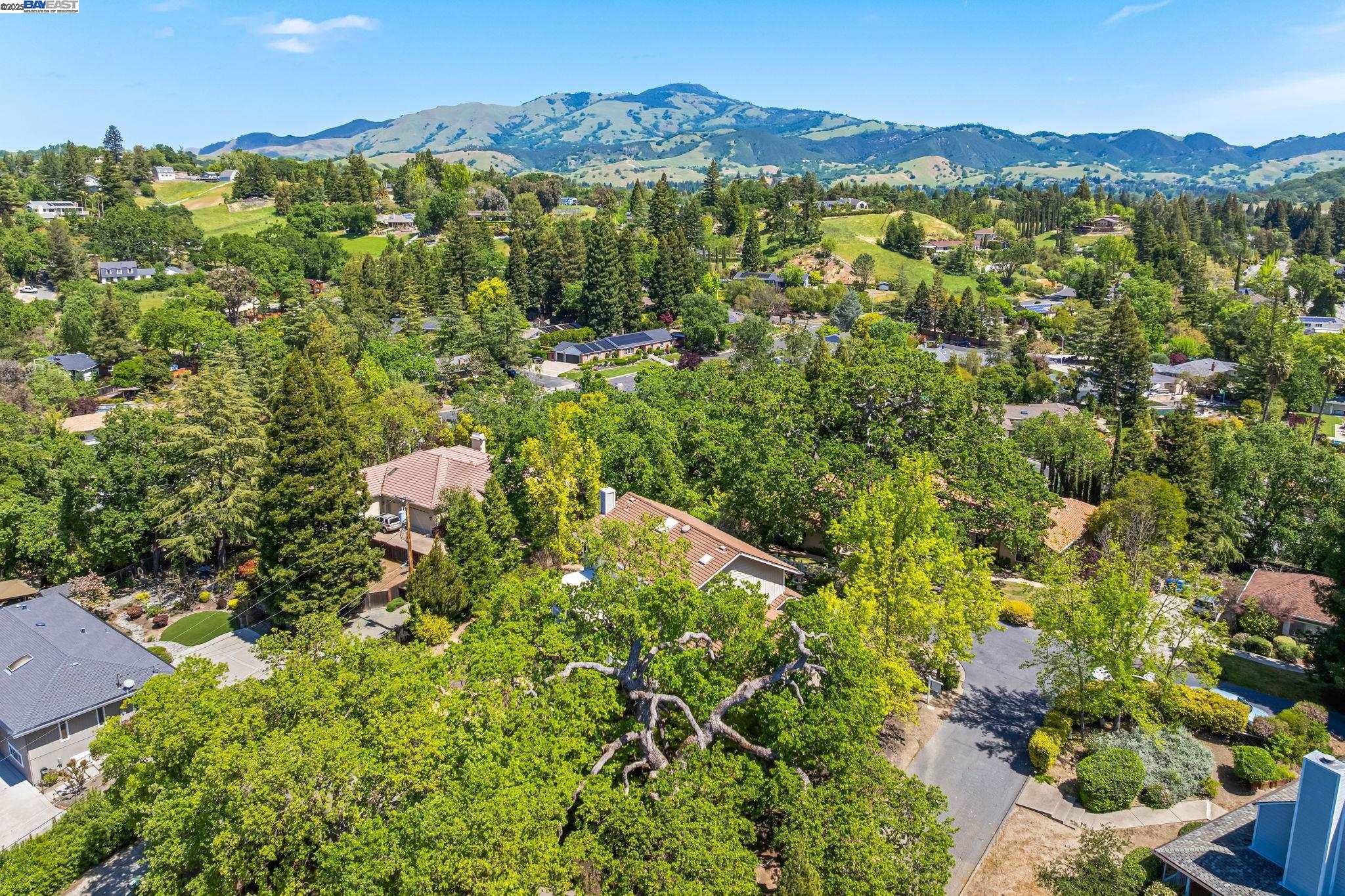 Detail Gallery Image 53 of 60 For 484 El Pintado Rd, Danville,  CA 94526 - 4 Beds | 2/1 Baths