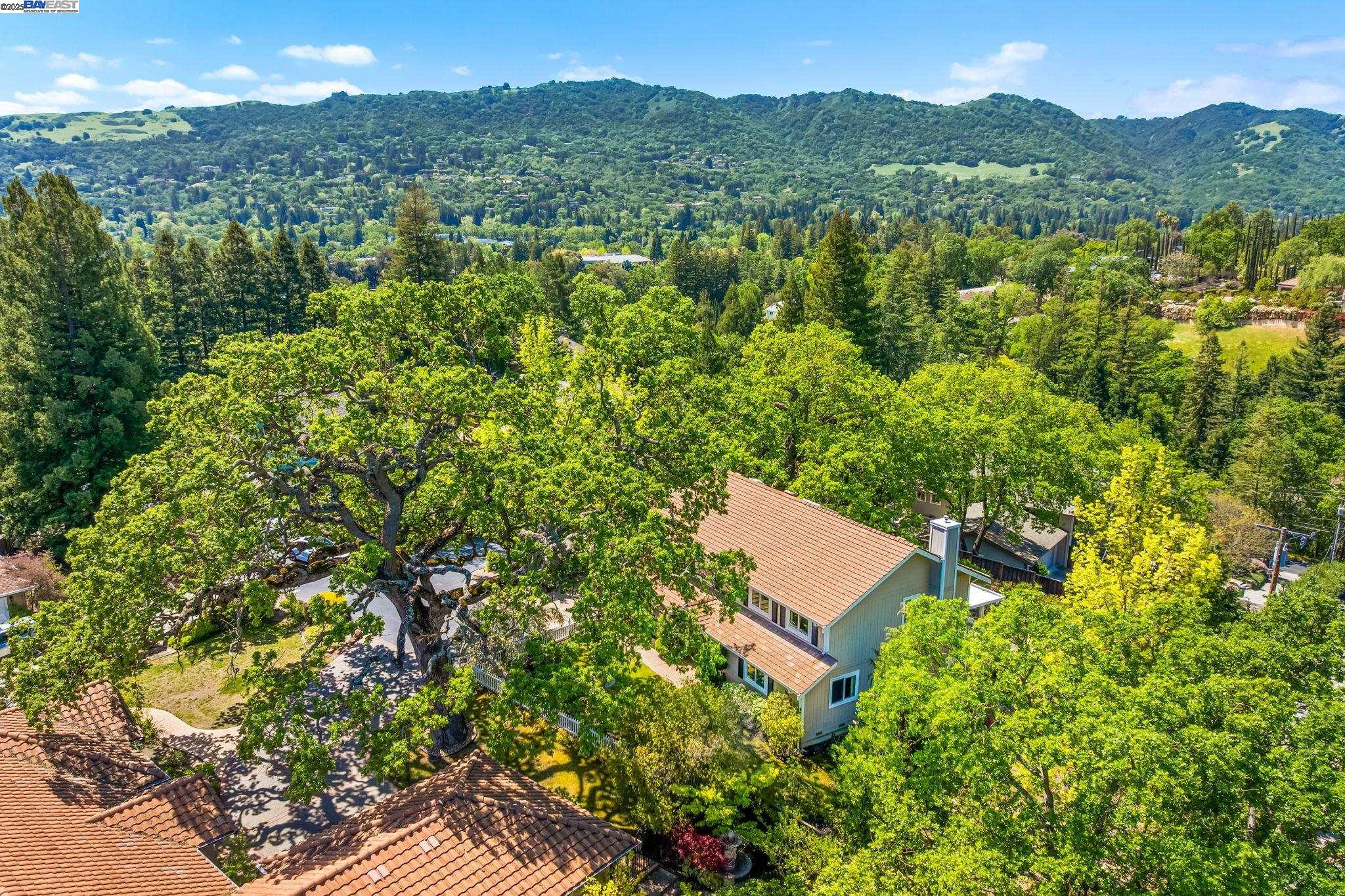 Detail Gallery Image 54 of 60 For 484 El Pintado Rd, Danville,  CA 94526 - 4 Beds | 2/1 Baths