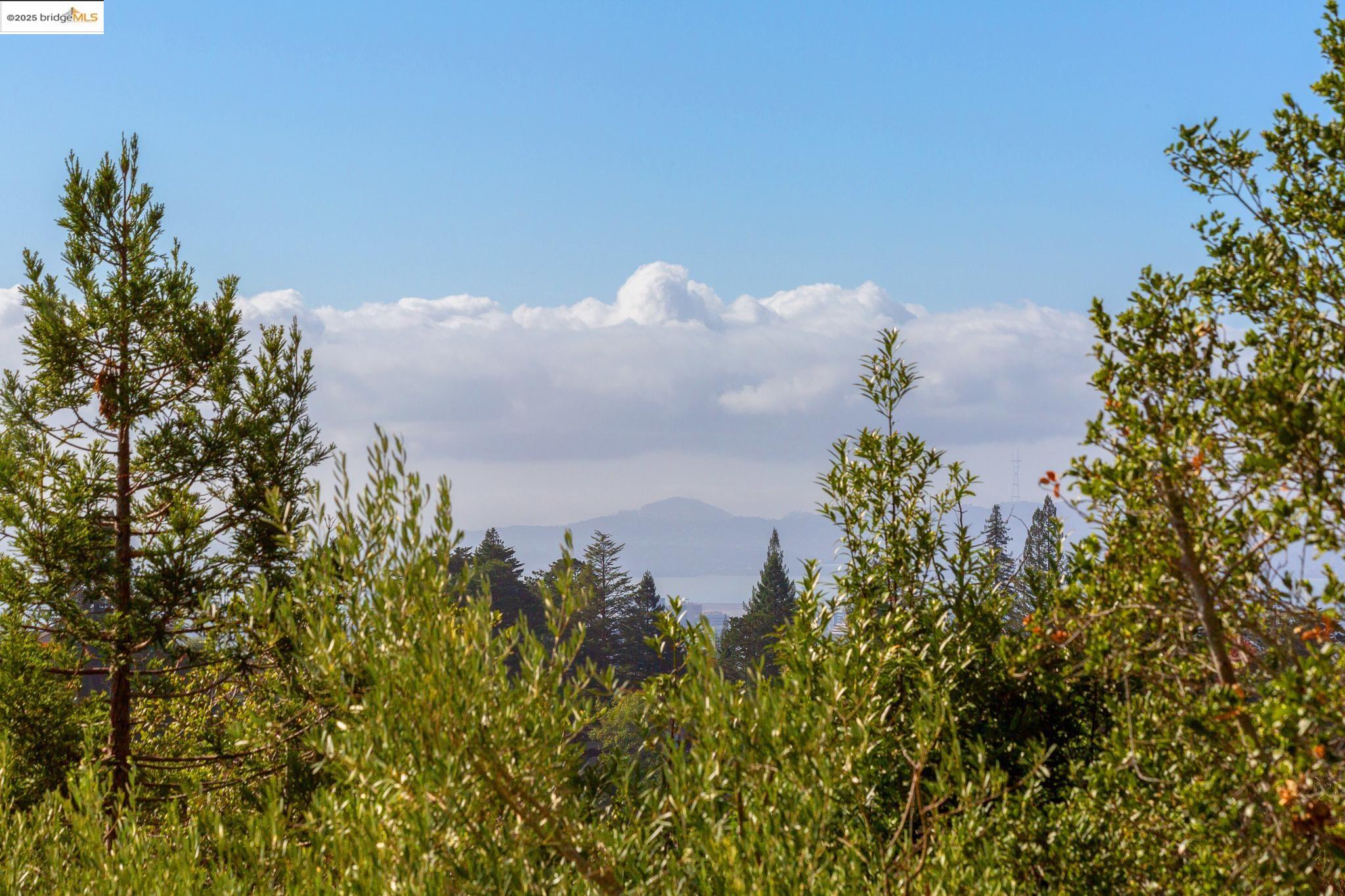 Detail Gallery Image 9 of 60 For 5973 Rincon Dr, Oakland,  CA 94611 - 3 Beds | 2/1 Baths
