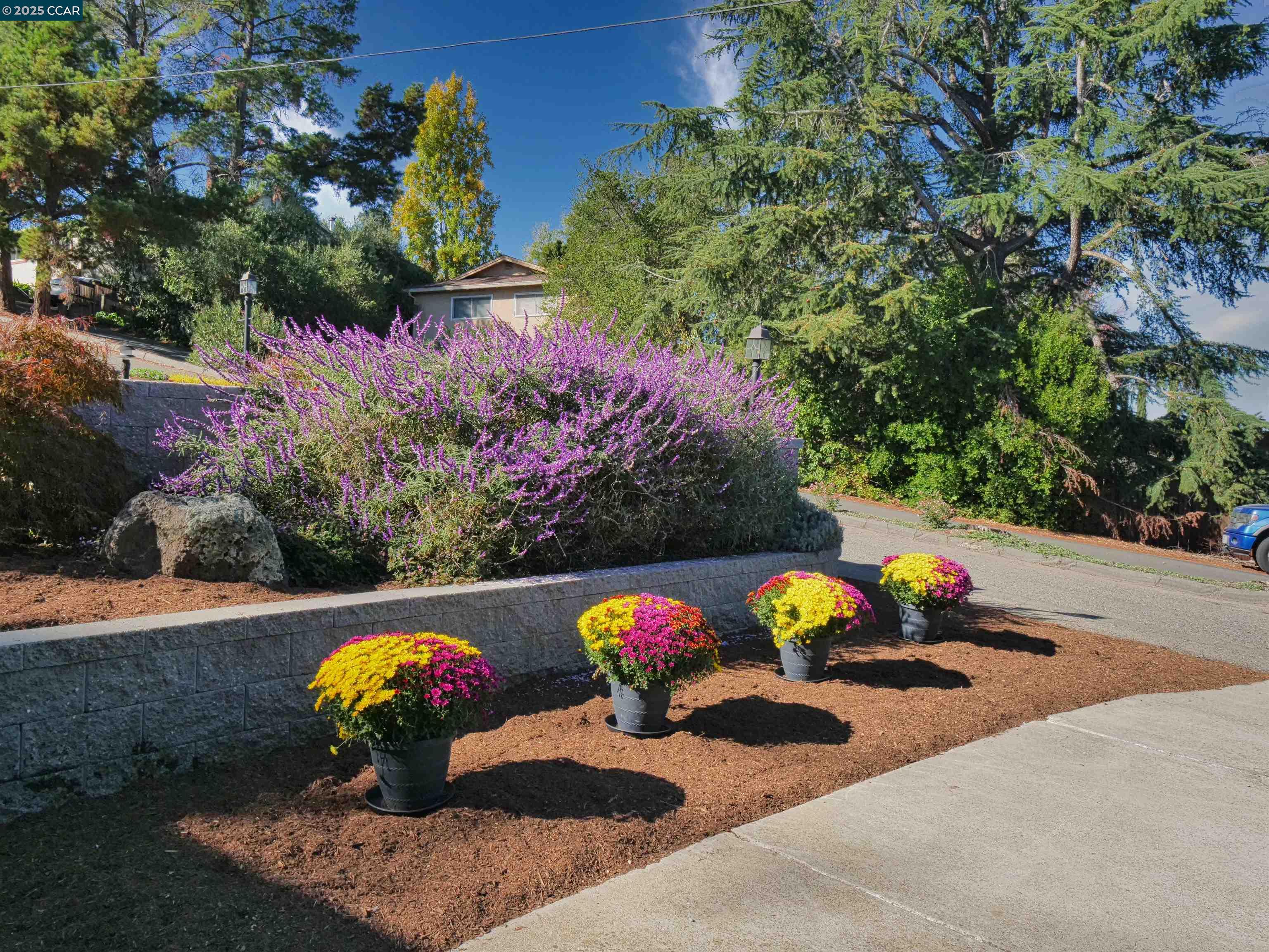 Detail Gallery Image 55 of 60 For 4044 Cowell Road, Concord,  CA 94521 - 5 Beds | 3 Baths