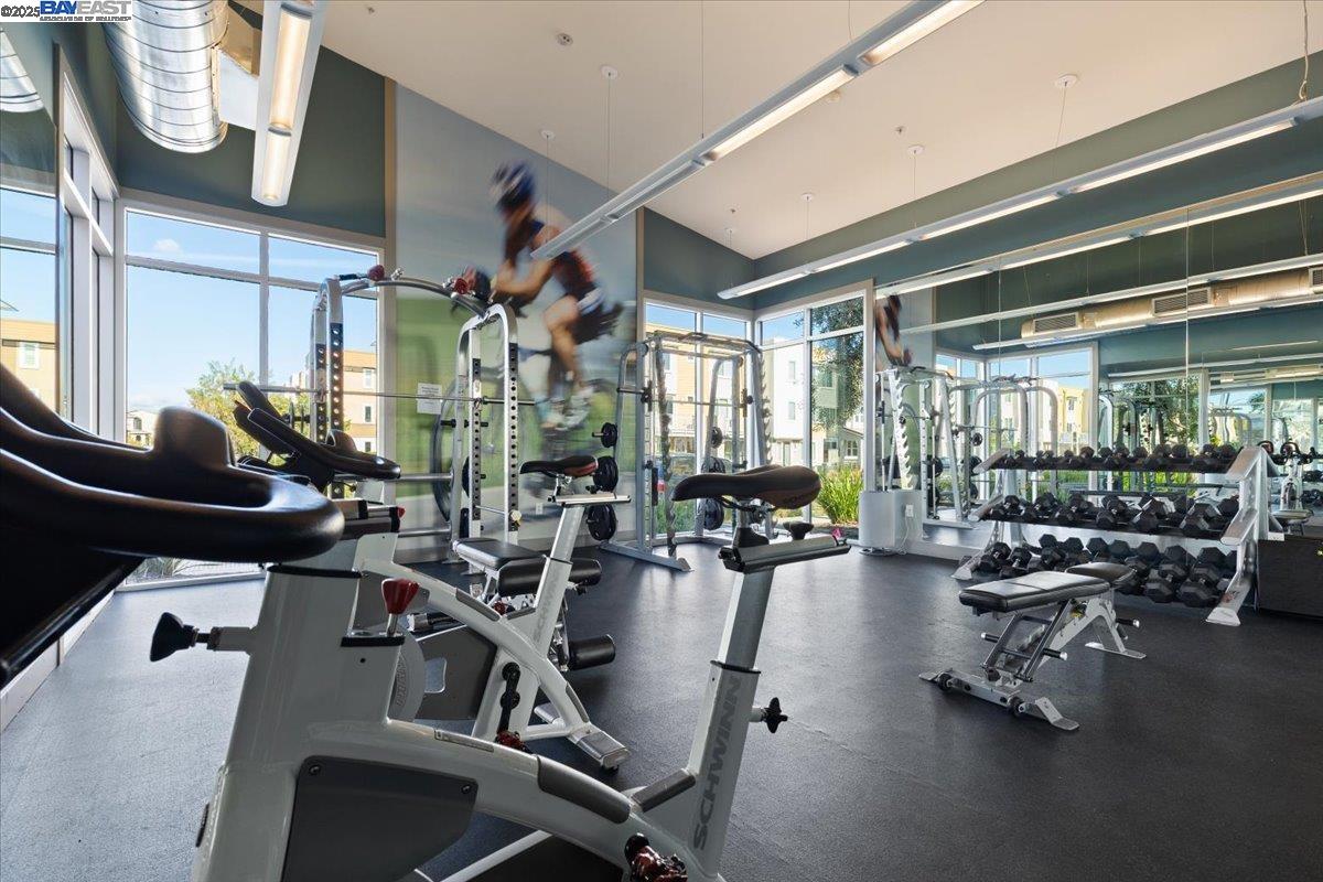 Detail Gallery Image 36 of 57 For 5925 Charlotte Dr #334,  San Jose,  CA 95123 - 2 Beds | 2 Baths