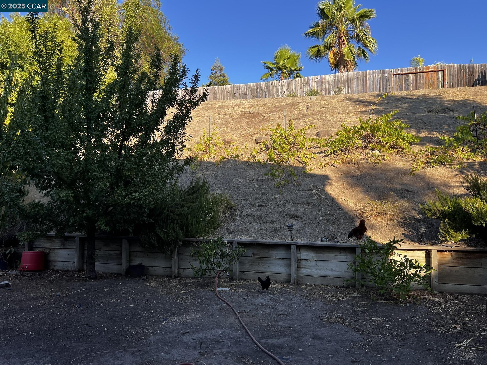 Detail Gallery Image 38 of 39 For 4045 Galenez Way, Antioch,  CA 94531 - 5 Beds | 3 Baths