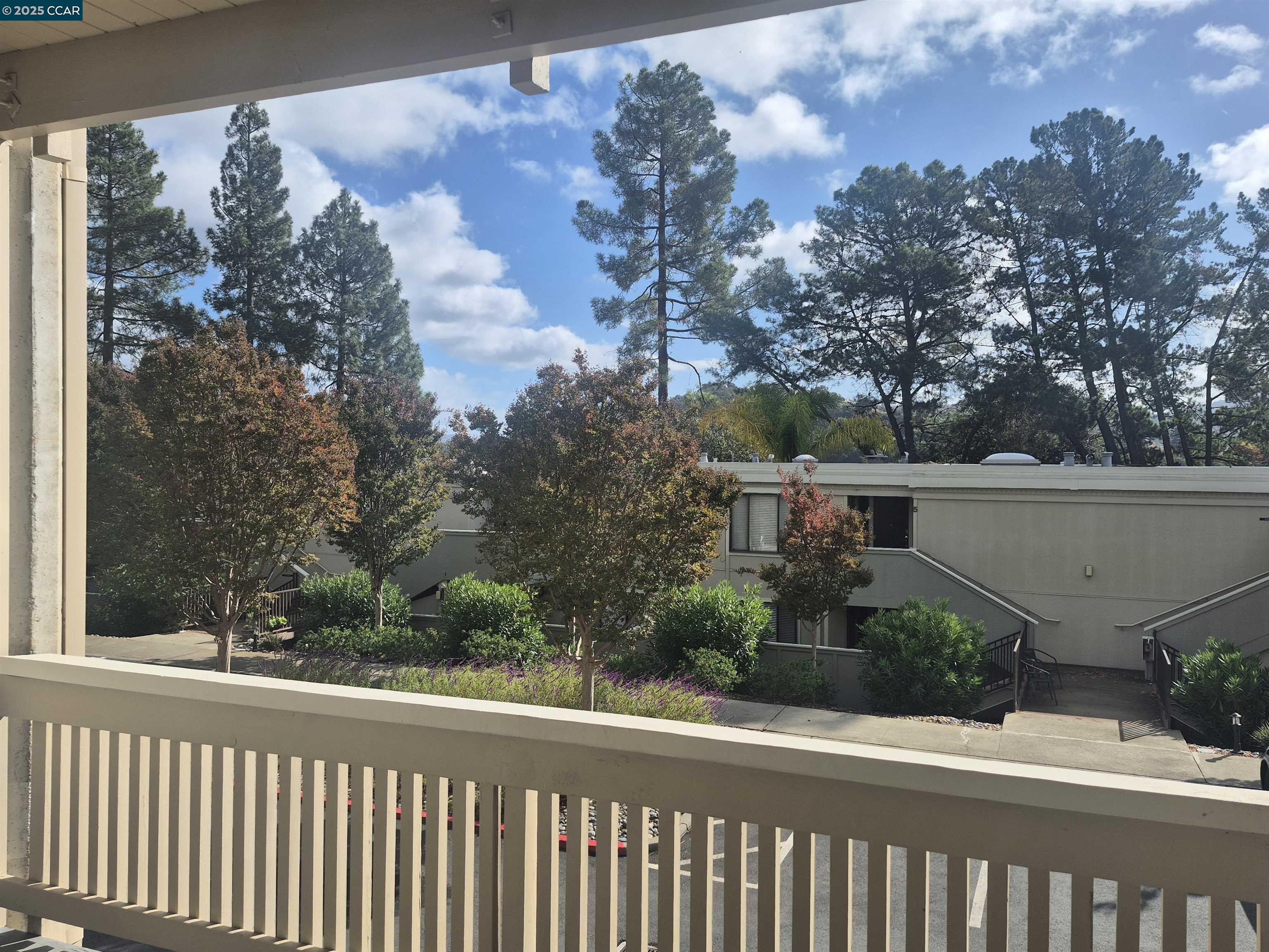 Photo #8: 41117081 Listing: Photo #8