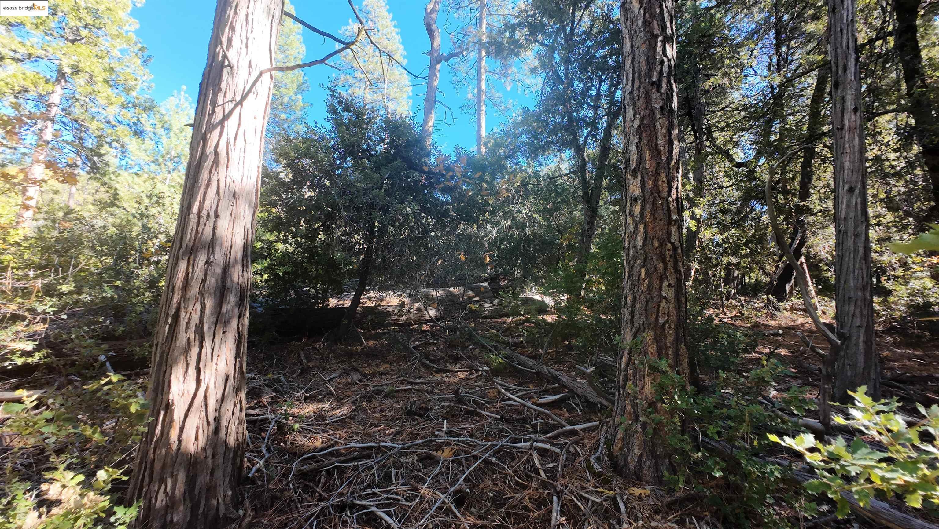 Detail Gallery Image 3 of 6 For 22443 Broken Bough Ln, Twain Harte,  CA 95383 - – Beds | – Baths