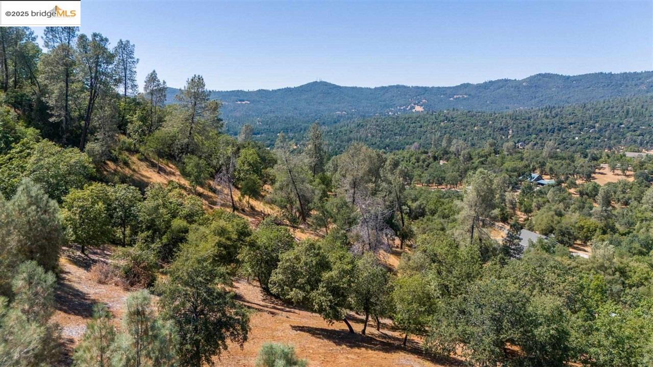 Detail Gallery Image 16 of 17 For 15899 Parkridge Ave, Sonora,  CA 95370 - – Beds | – Baths