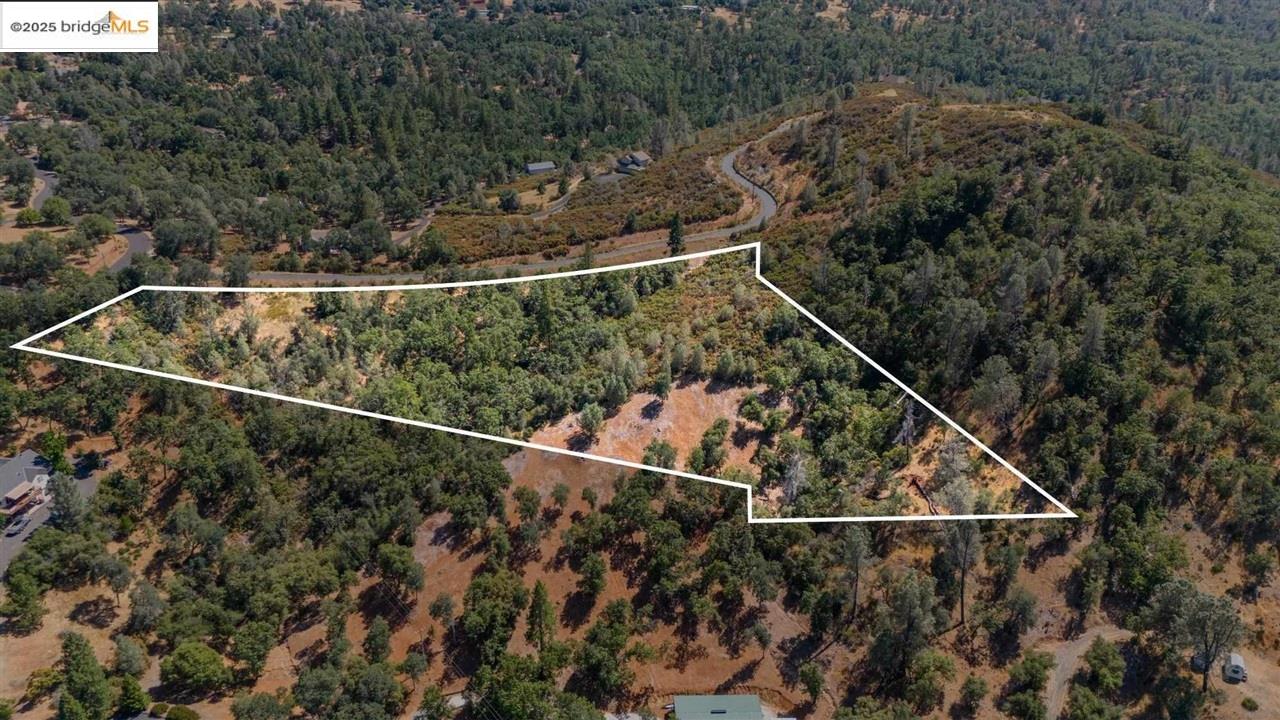 Detail Gallery Image 6 of 17 For 15899 Parkridge Ave, Sonora,  CA 95370 - – Beds | – Baths