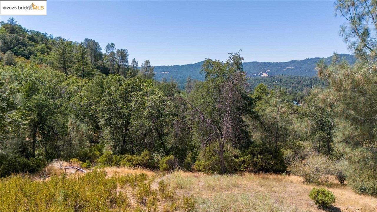 Detail Gallery Image 7 of 17 For 15899 Parkridge Ave, Sonora,  CA 95370 - – Beds | – Baths