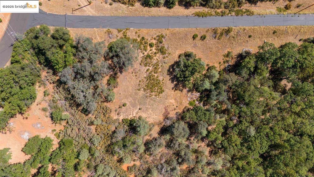 Detail Gallery Image 9 of 17 For 15899 Parkridge Ave, Sonora,  CA 95370 - – Beds | – Baths