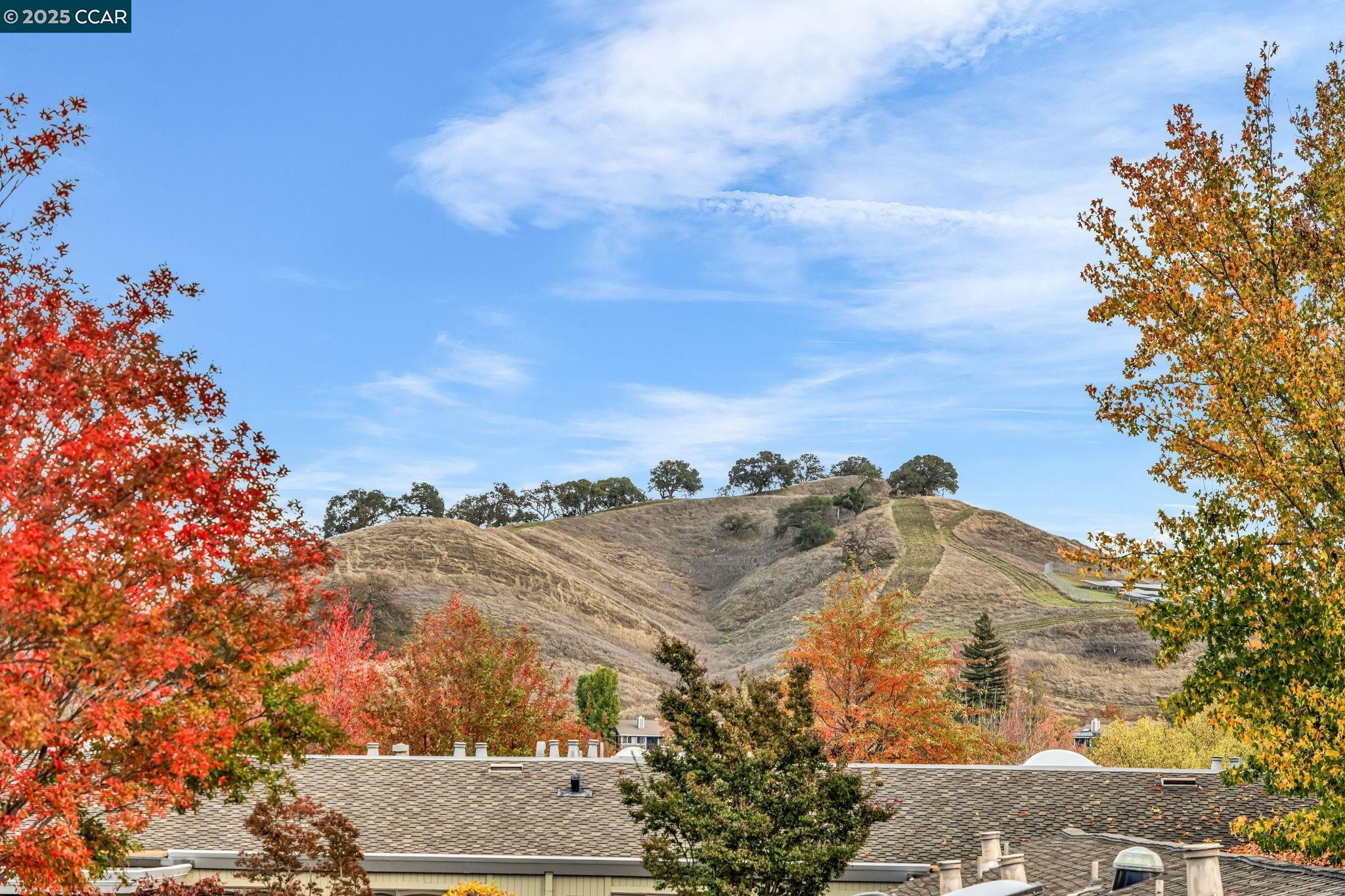 Detail Gallery Image 28 of 49 For 1216 Fairlawn Ct #8,  Walnut Creek,  CA 94595 - 2 Beds | 2 Baths