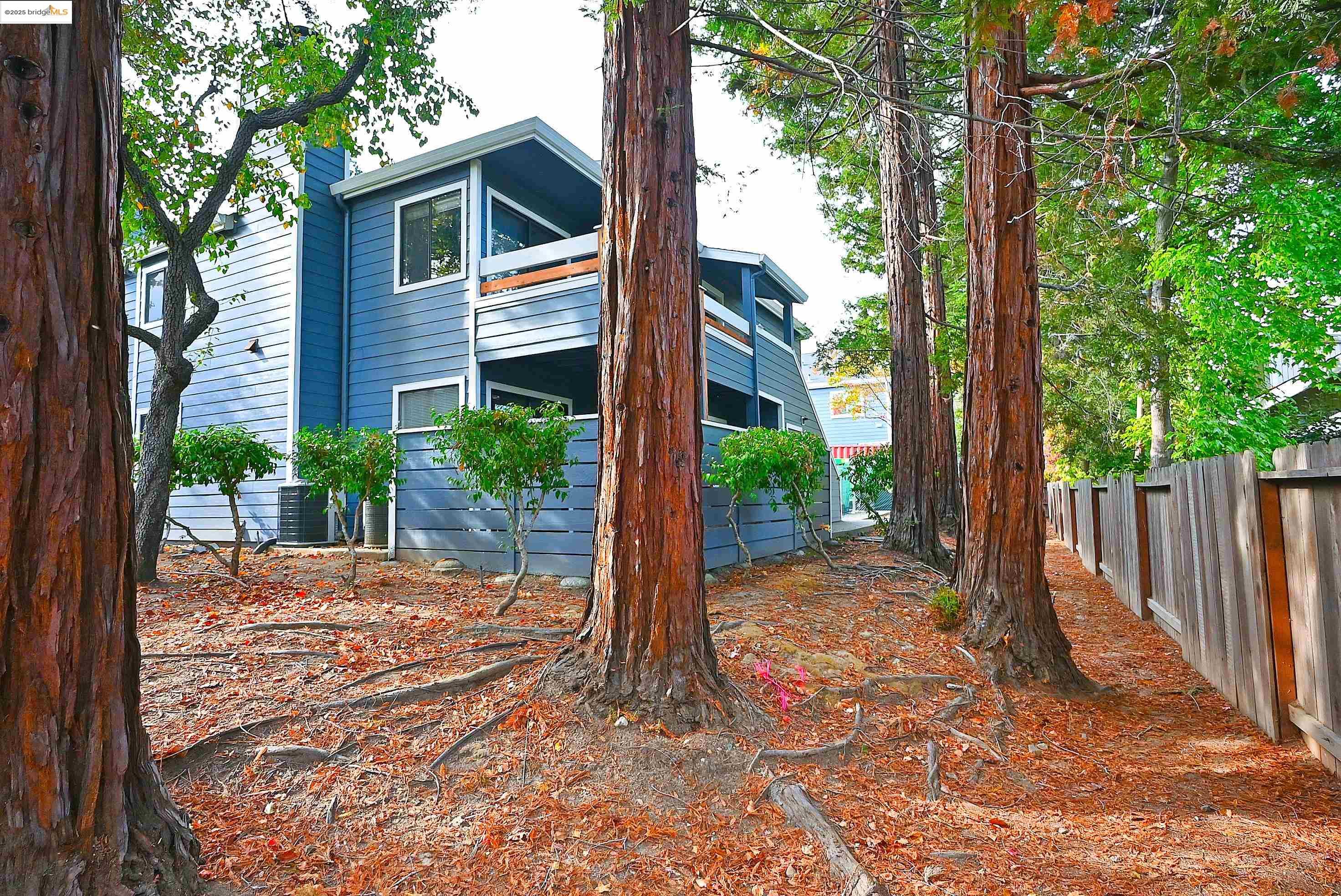 Detail Gallery Image 5 of 53 For 648 Fig Tree Lane, Martinez,  CA 94553 - 2 Beds | 2 Baths