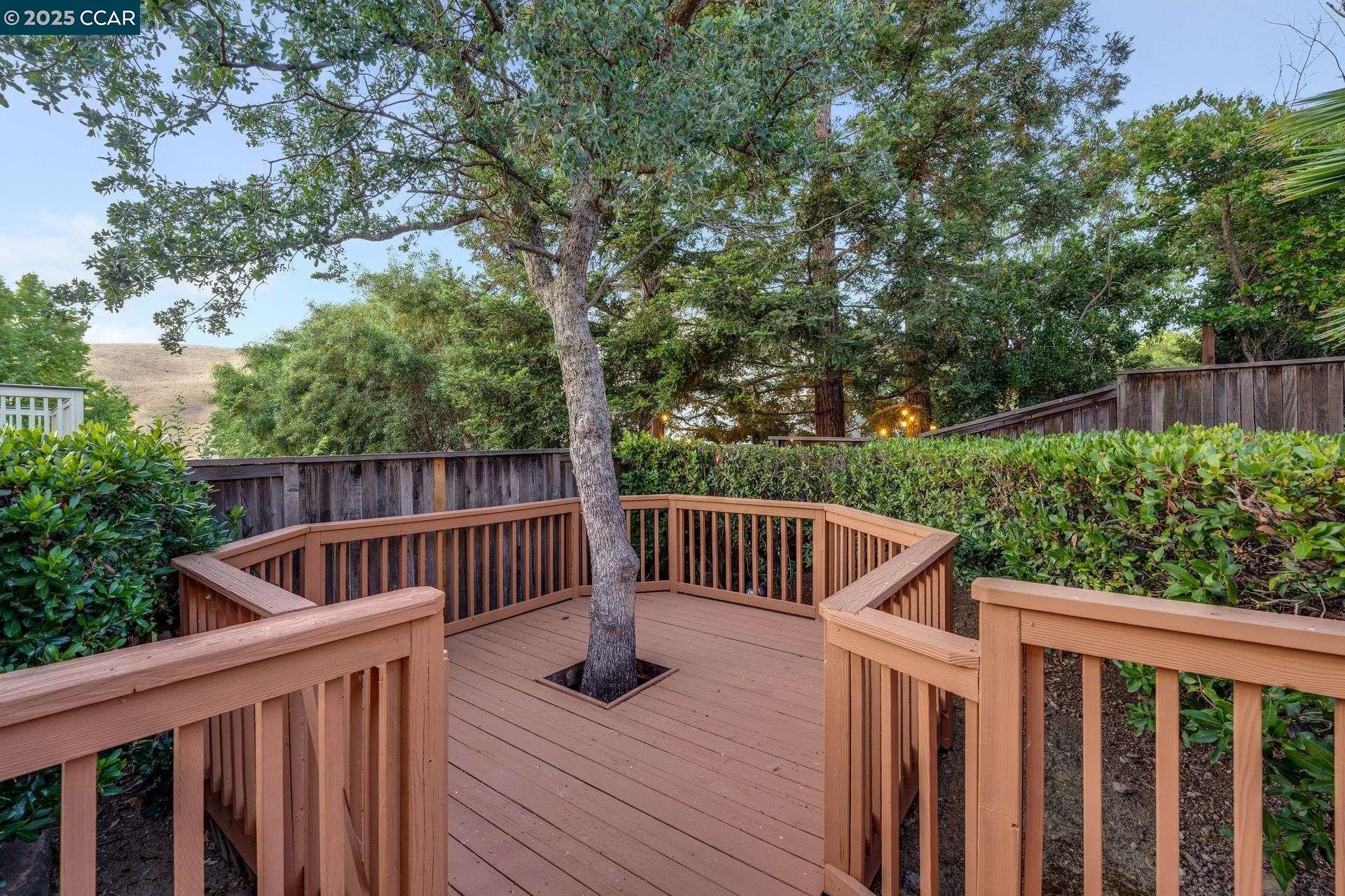 Detail Gallery Image 46 of 53 For 1105 Peacock Creek Drive, Clayton,  CA 94517 - 5 Beds | 3/1 Baths