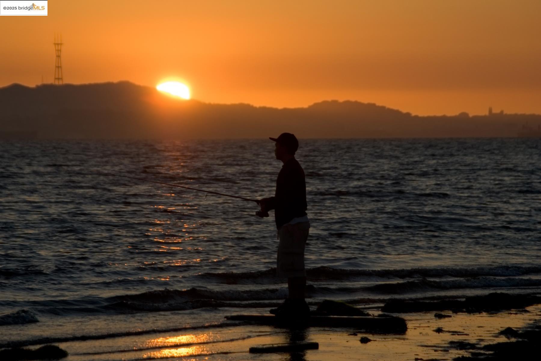 Photo #21: 41117207 Listing: Photo #21