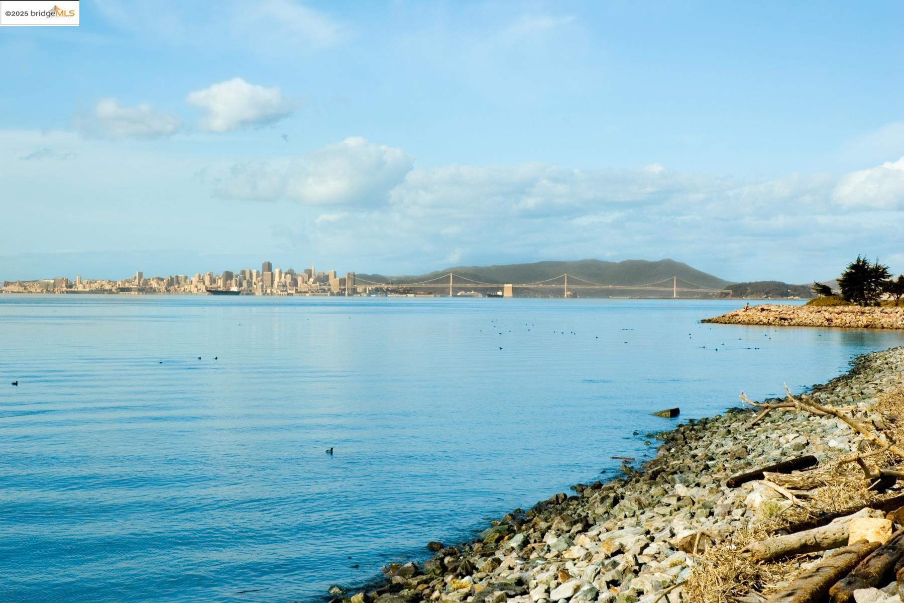 Detail Gallery Image 23 of 28 For 109 Cypress St. #C,  Alameda,  CA 94501 - 2 Beds | 1 Baths