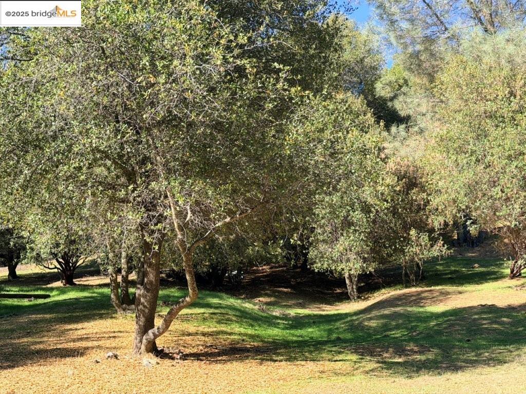 Detail Gallery Image 4 of 55 For , Groveland,  CA 95321 - – Beds | – Baths