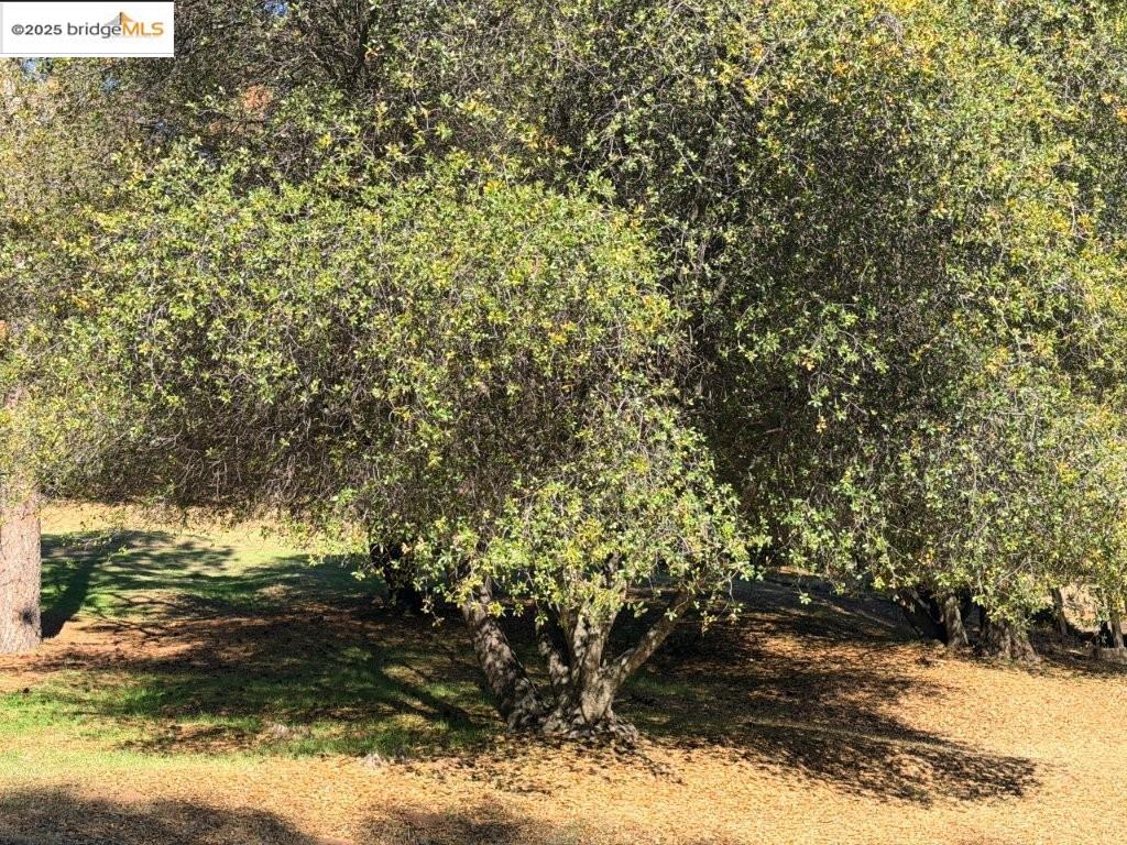 Detail Gallery Image 6 of 55 For , Groveland,  CA 95321 - – Beds | – Baths