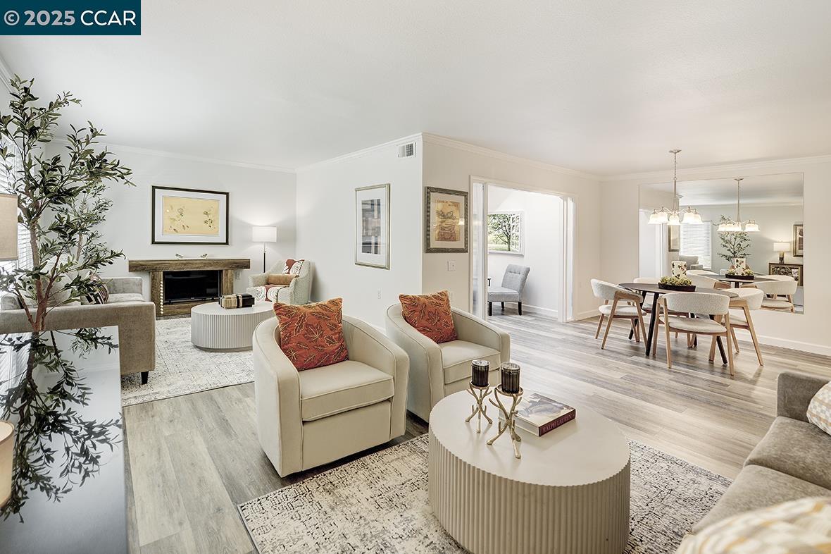 Front Image Thumbnail for CC41117245