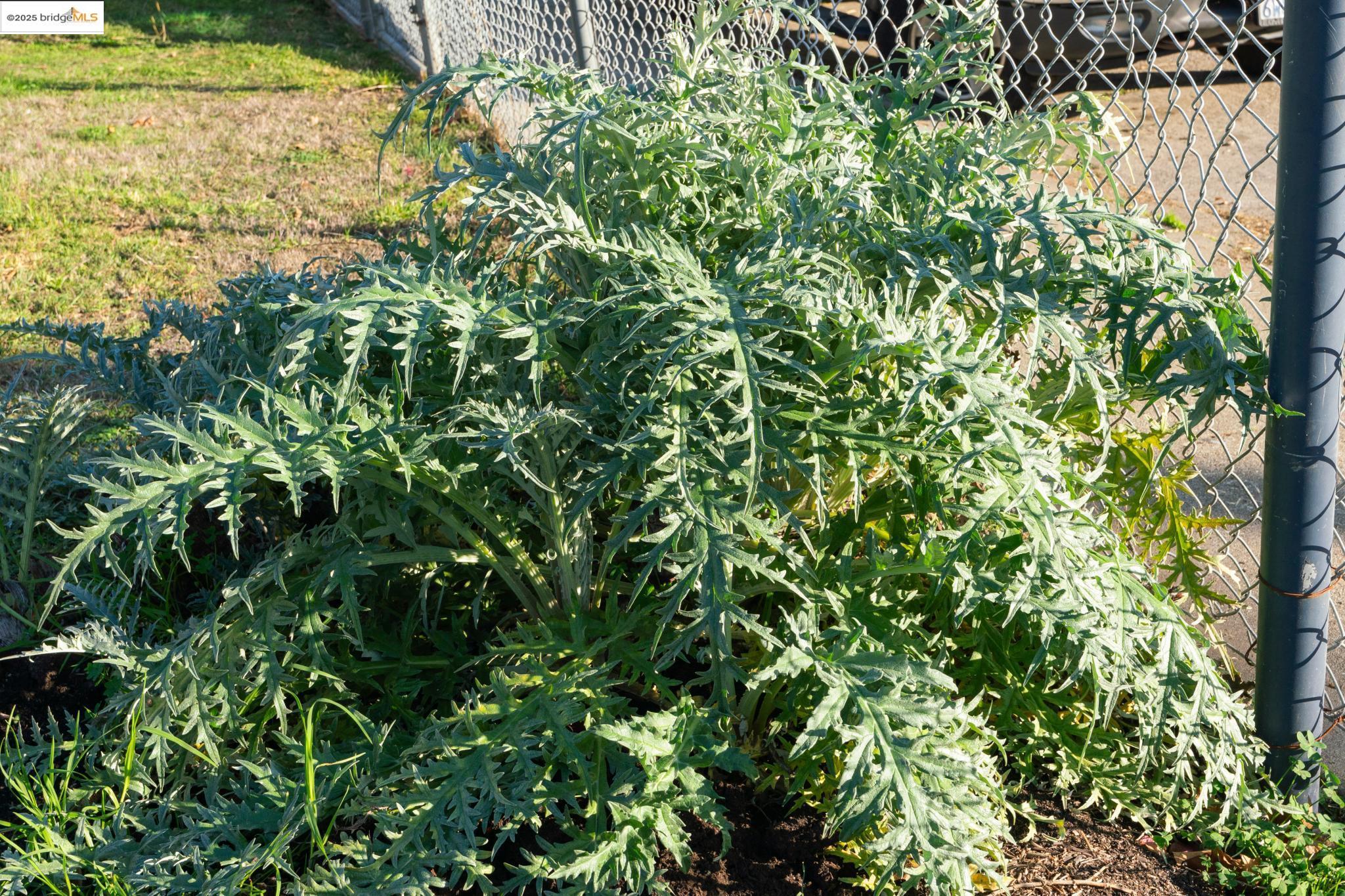 Detail Gallery Image 43 of 43 For 3412 Magnolia St, Oakland,  CA 94608 - 1 Beds | 1/1 Baths