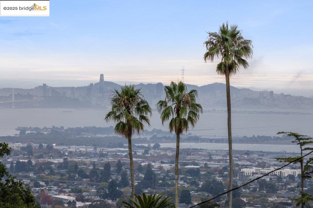 Detail Gallery Image 45 of 60 For 589 San Luis Rd., Berkeley,  CA 94707-1723 - 4 Beds | 2 Baths