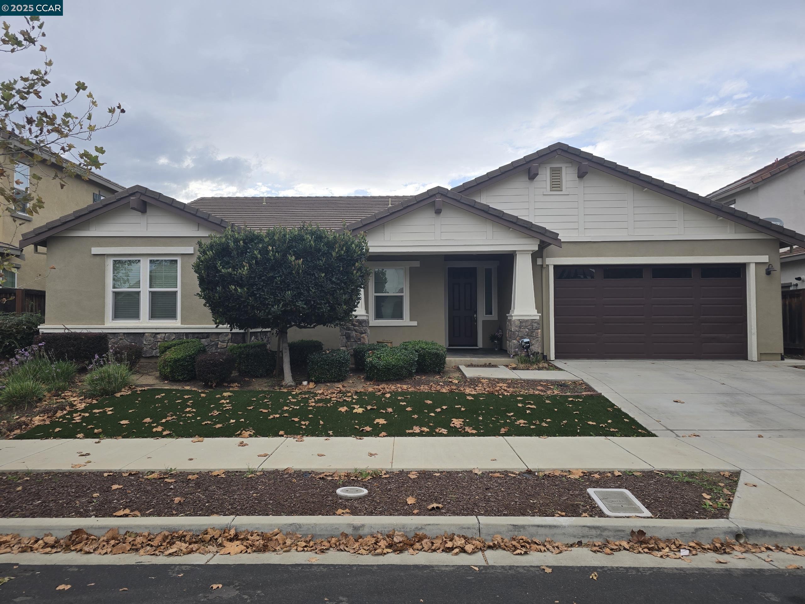 Front Image Thumbnail for CC41117301