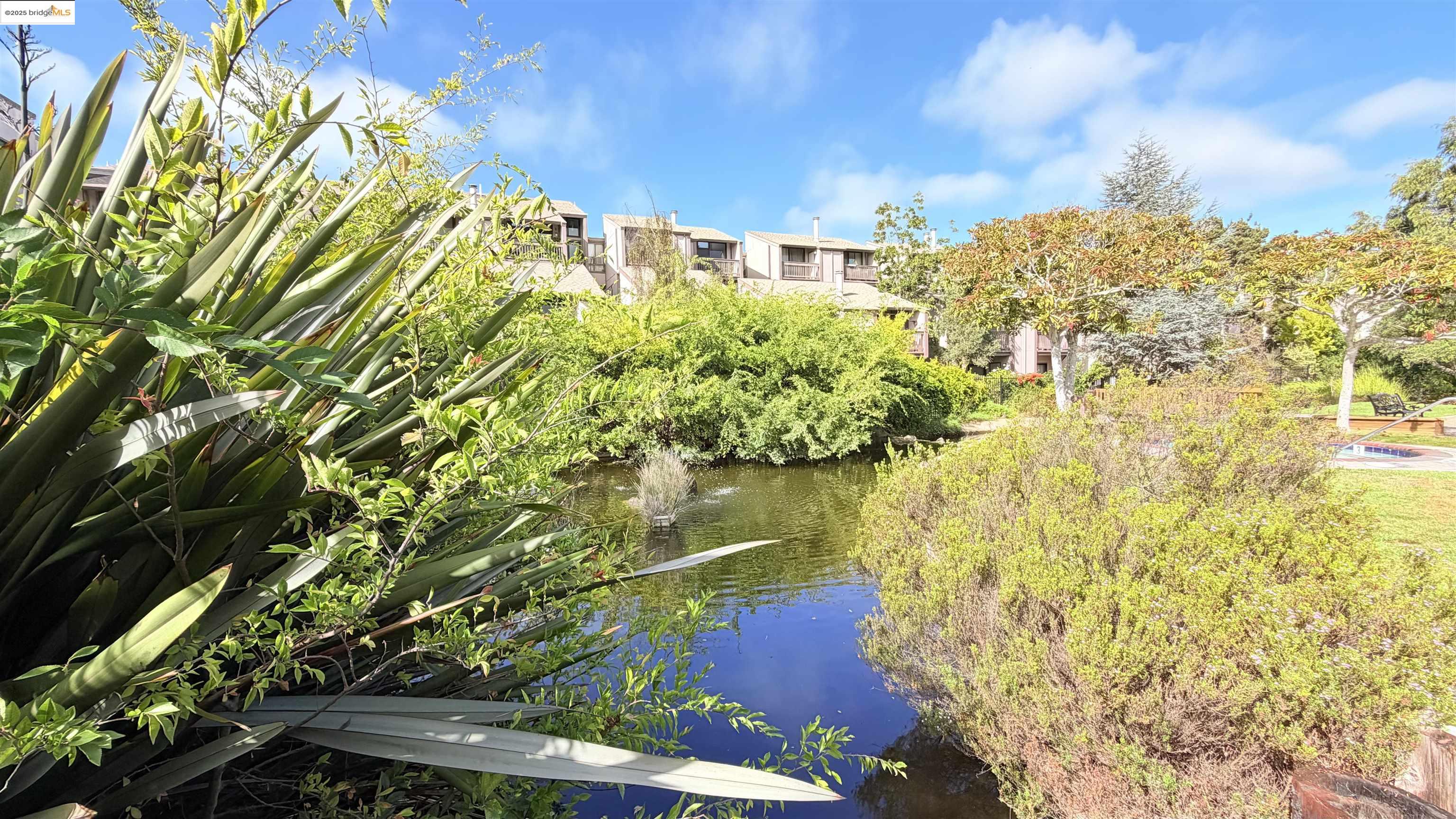 Detail Gallery Image 7 of 34 For 2101 Shoreline Drive #265,  Alameda,  CA 94501 - 2 Beds | 1/1 Baths