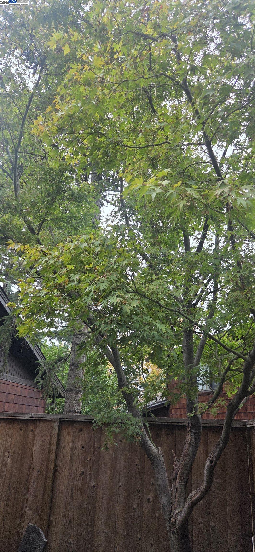 Detail Gallery Image 43 of 46 For 4119 Ravenwood Pl, Castro Valley,  CA 94546 - 2 Beds | 1 Baths