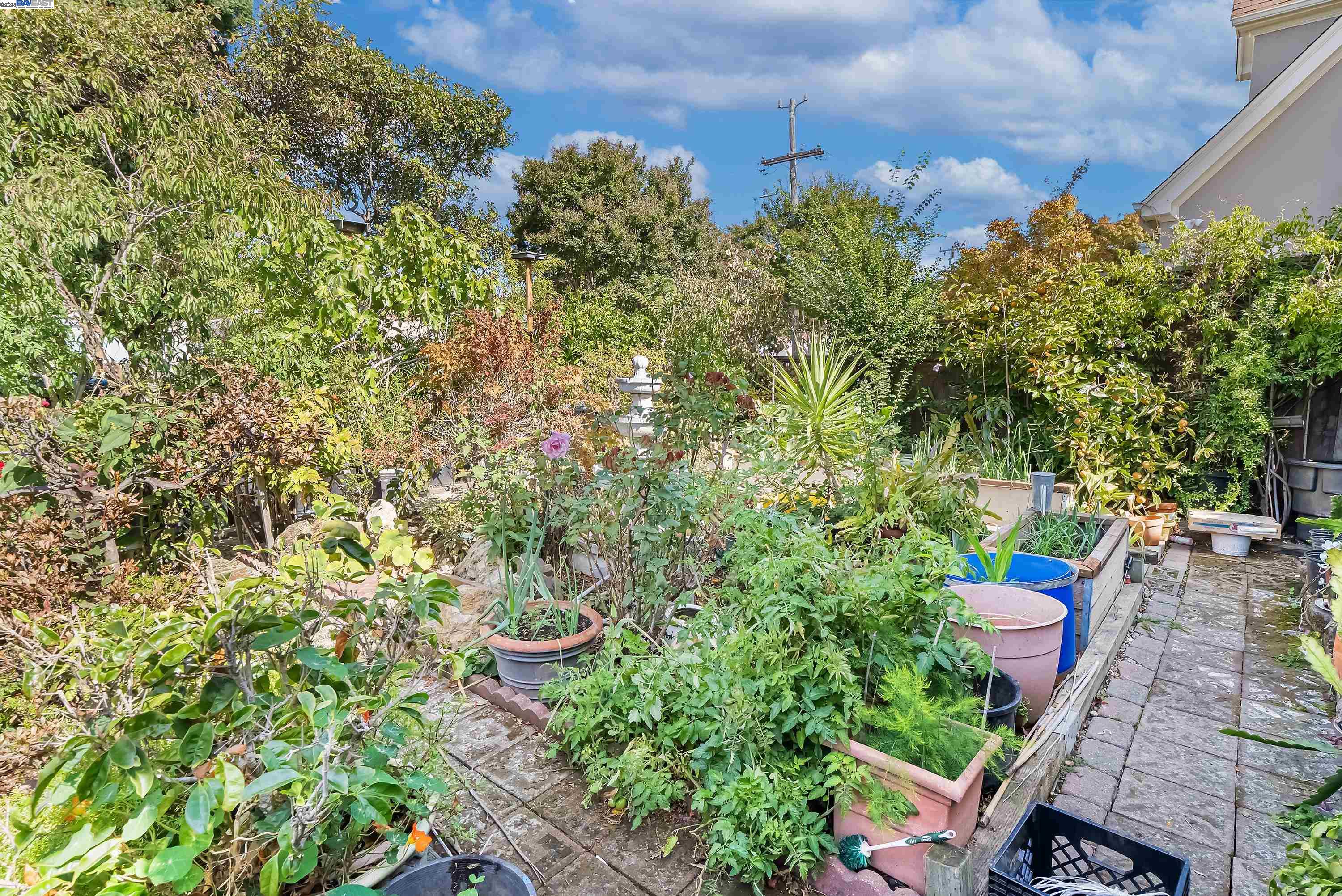 Detail Gallery Image 50 of 54 For 937 Helen Ave, San Leandro,  CA 94577 - 5 Beds | 3 Baths