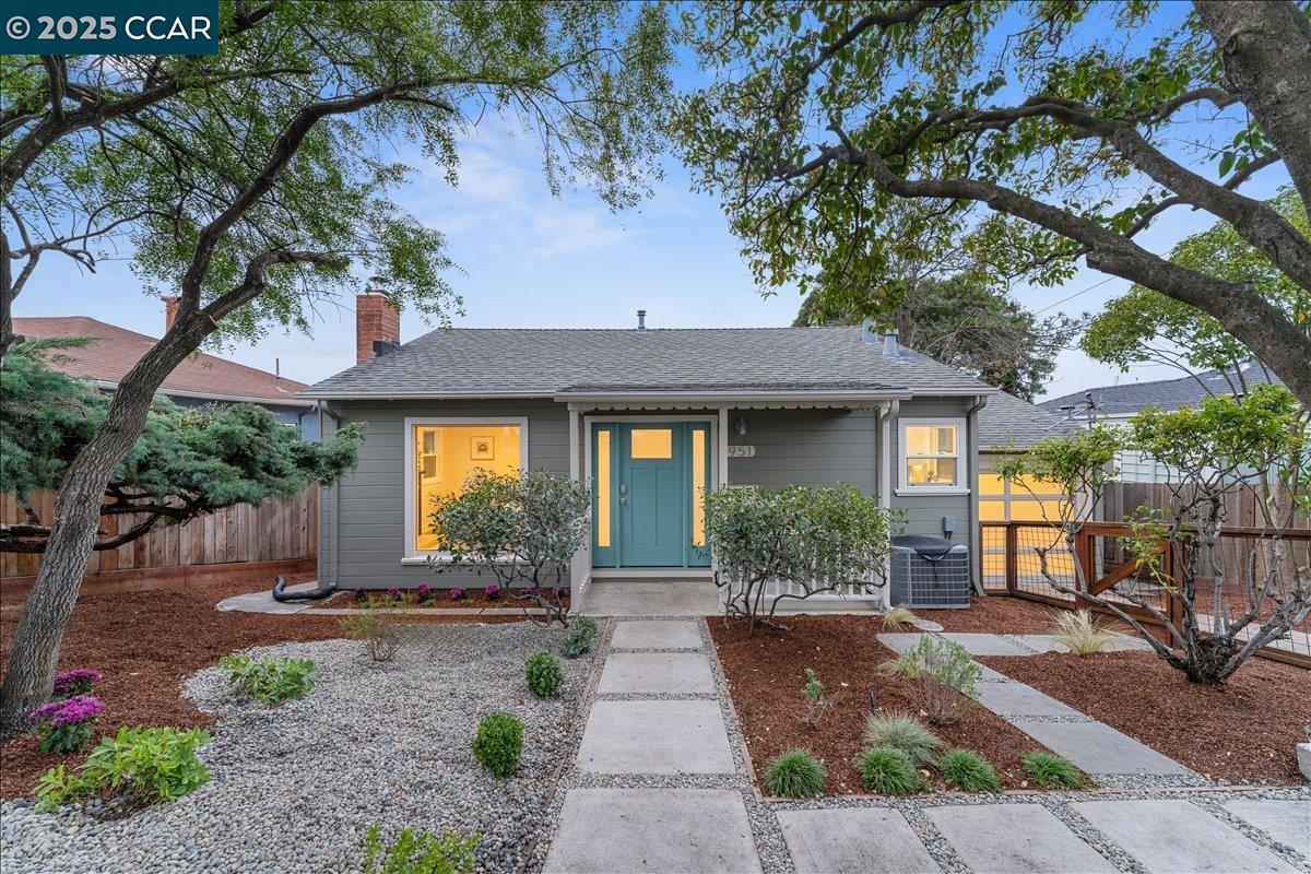 Front Image Thumbnail for CC41117382