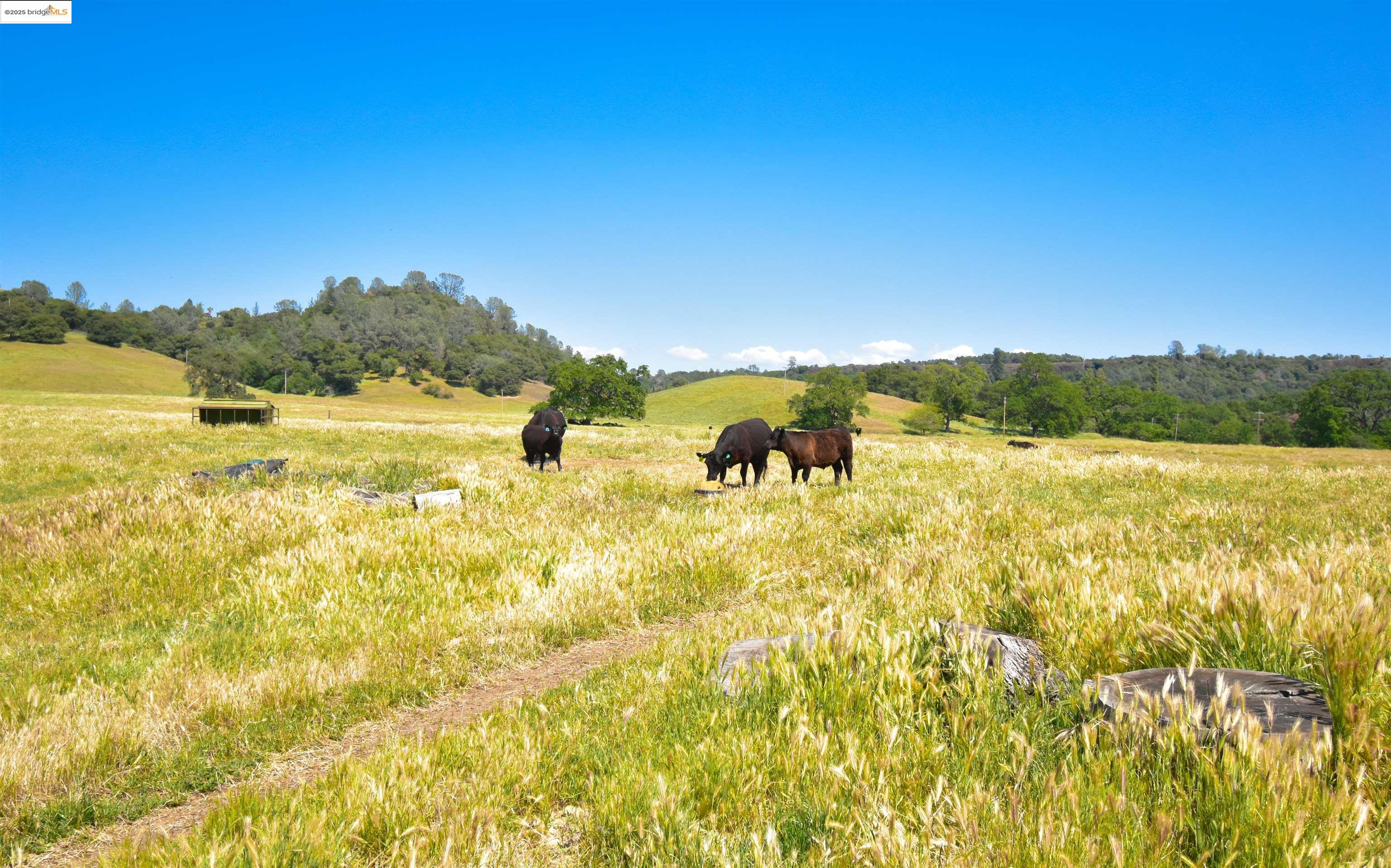 Detail Gallery Image 13 of 19 For 9325 Fraguero, Sonora,  CA 95370 - 3 Beds | 2 Baths