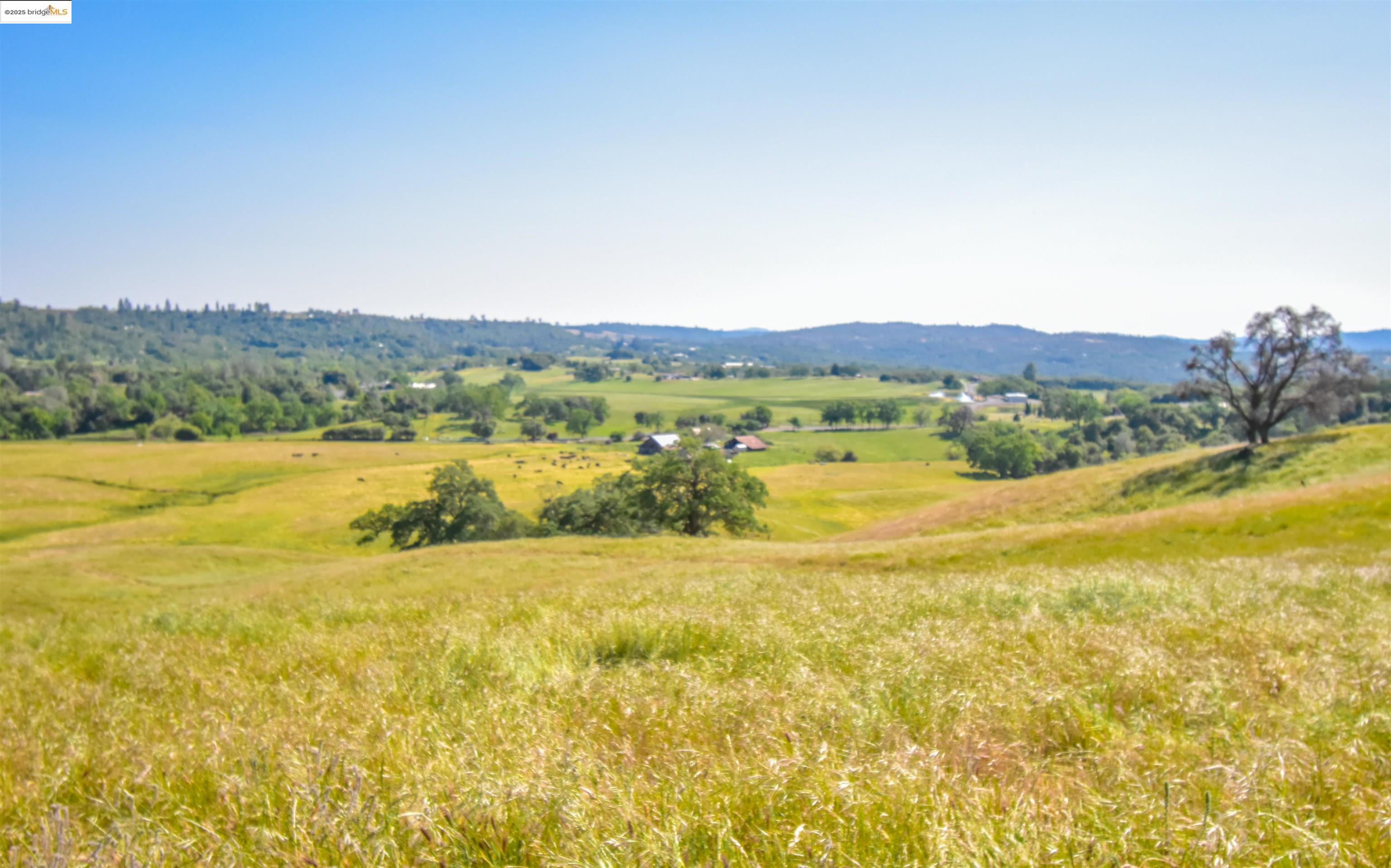 Detail Gallery Image 17 of 19 For 9325 Fraguero, Sonora,  CA 95370 - 3 Beds | 2 Baths