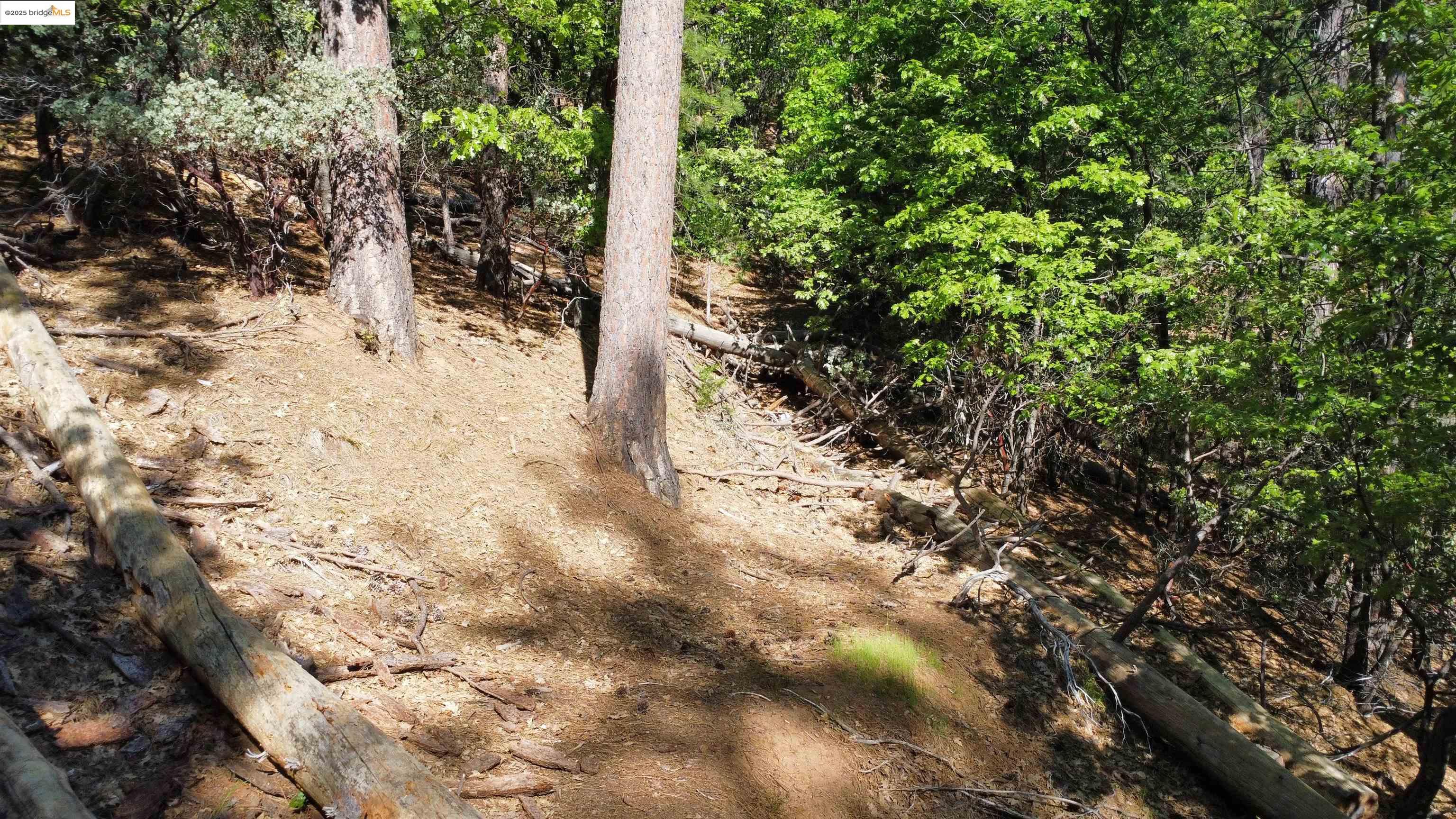 Front Image Thumbnail for EB41117417