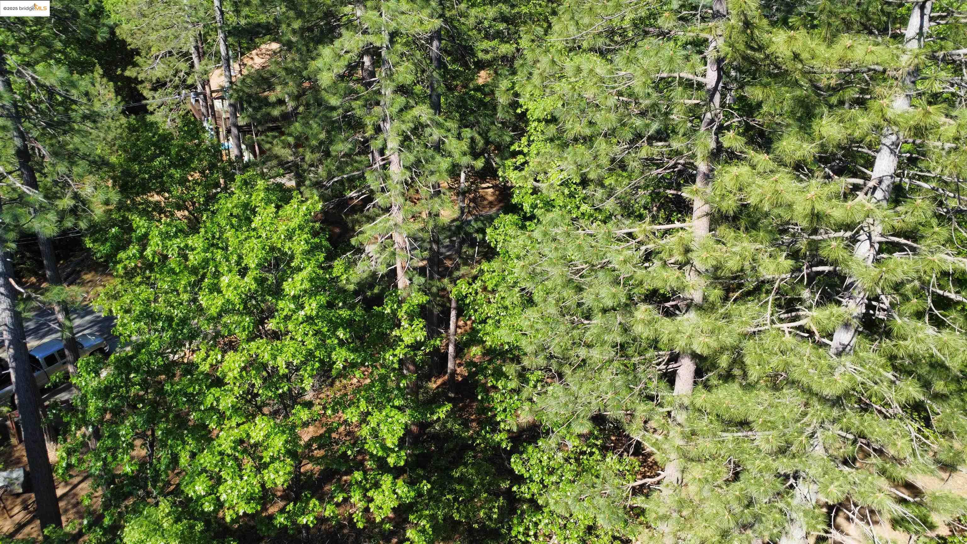 Detail Gallery Image 11 of 31 For 23804 S Oxbow Lane, Sonora,  CA 95370 - – Beds | – Baths