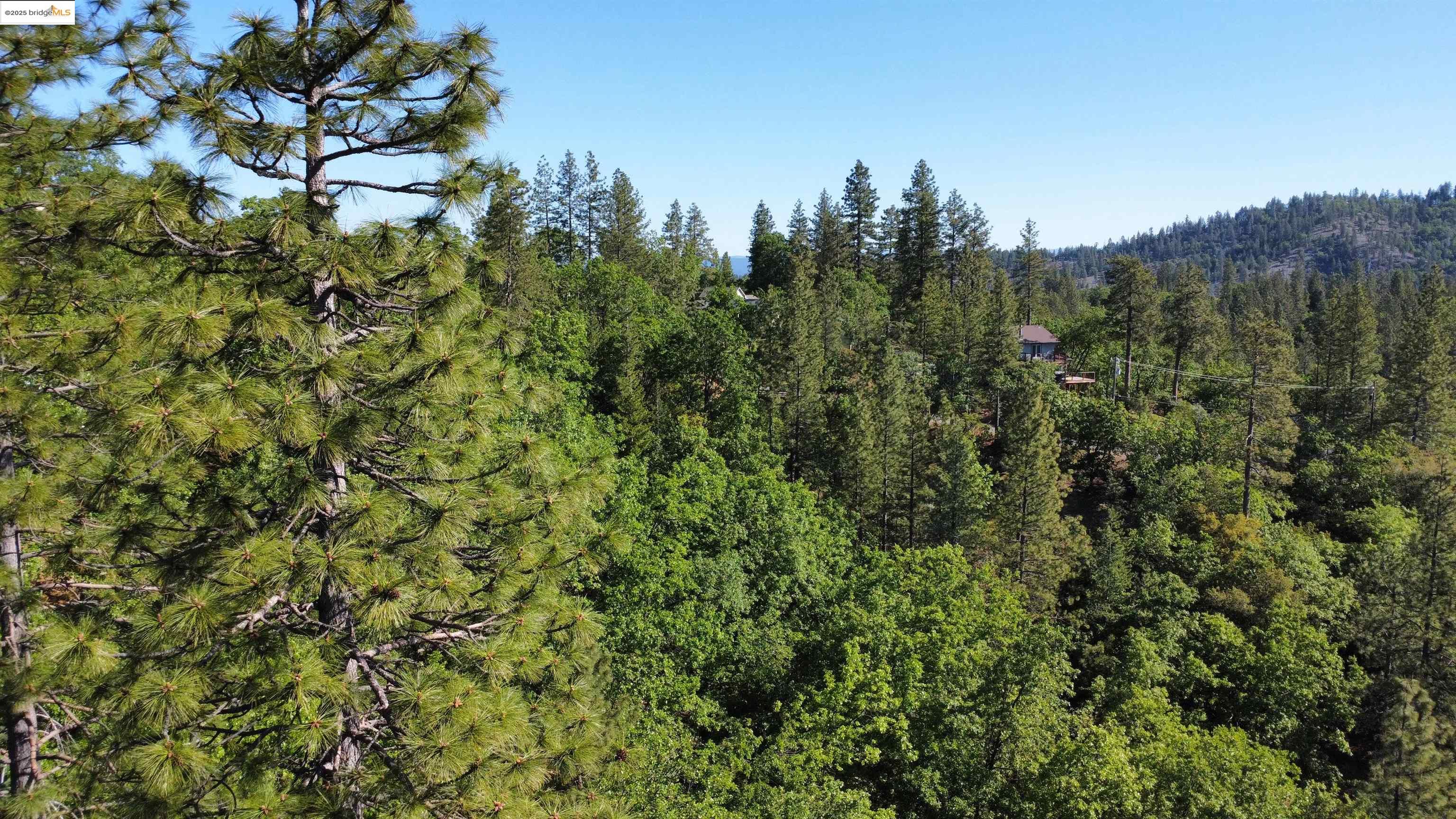 Detail Gallery Image 16 of 31 For 23804 S Oxbow Lane, Sonora,  CA 95370 - – Beds | – Baths