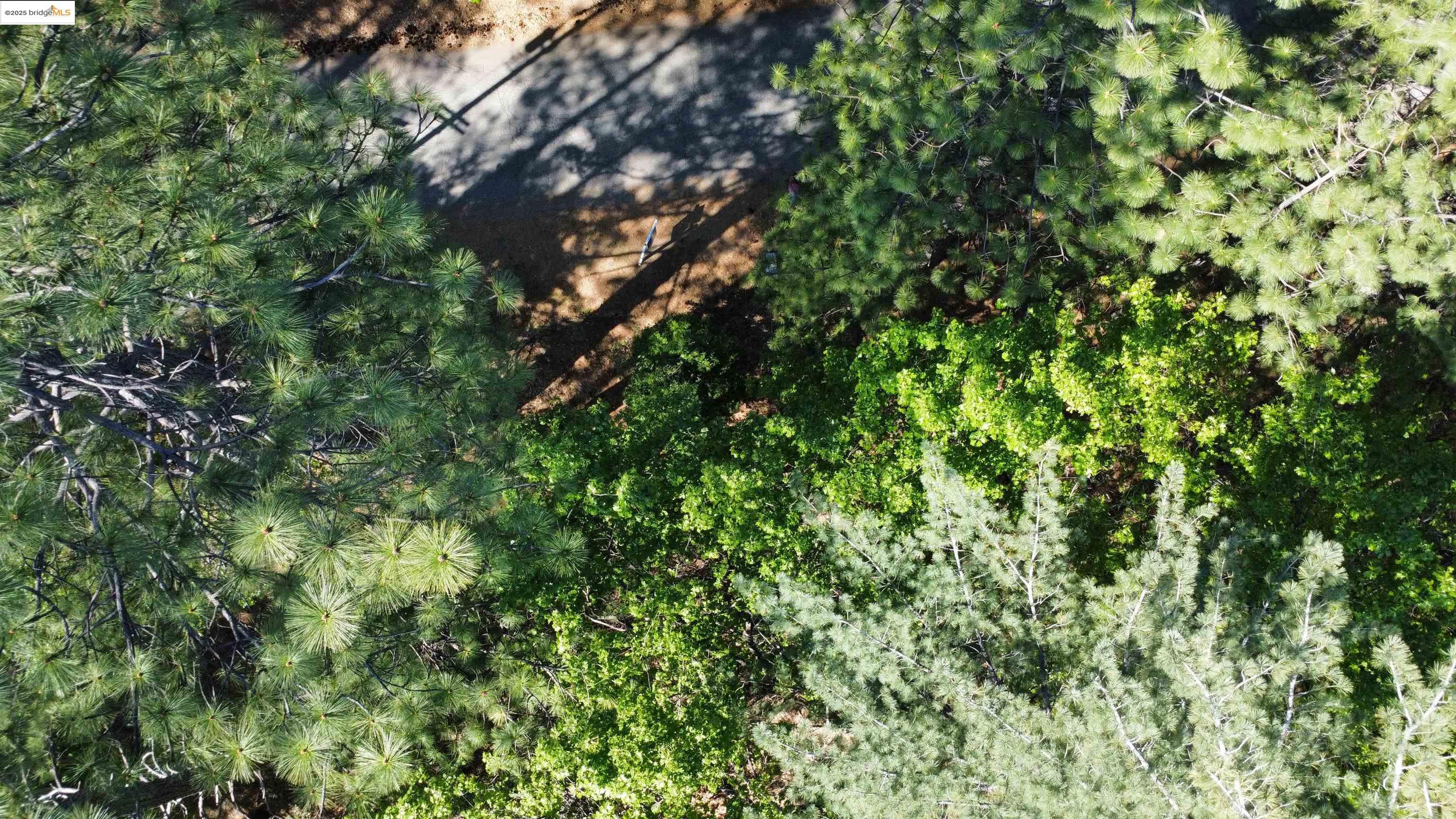 Detail Gallery Image 19 of 31 For 23804 S Oxbow Lane, Sonora,  CA 95370 - – Beds | – Baths